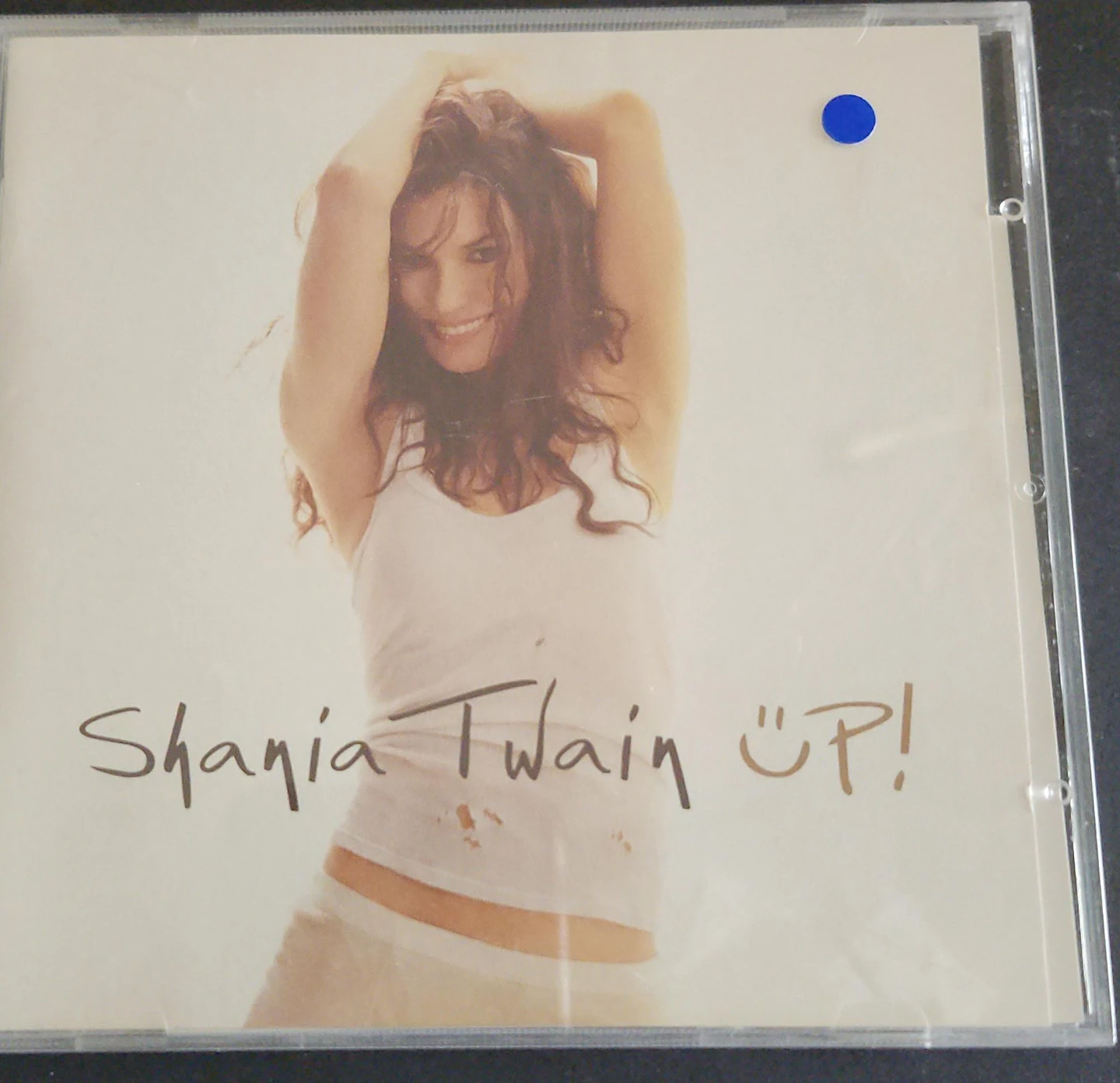 Shania Twain Up! CD