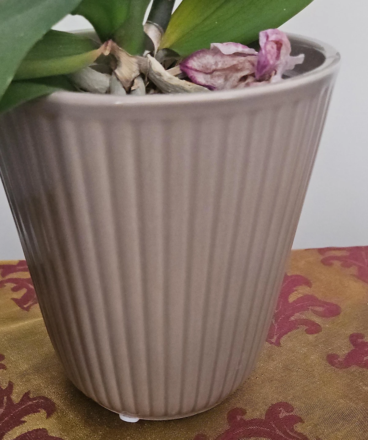 Fluted Ceramic Plant Pot