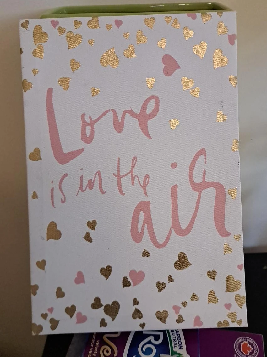 Love is in the Air Canvas Art