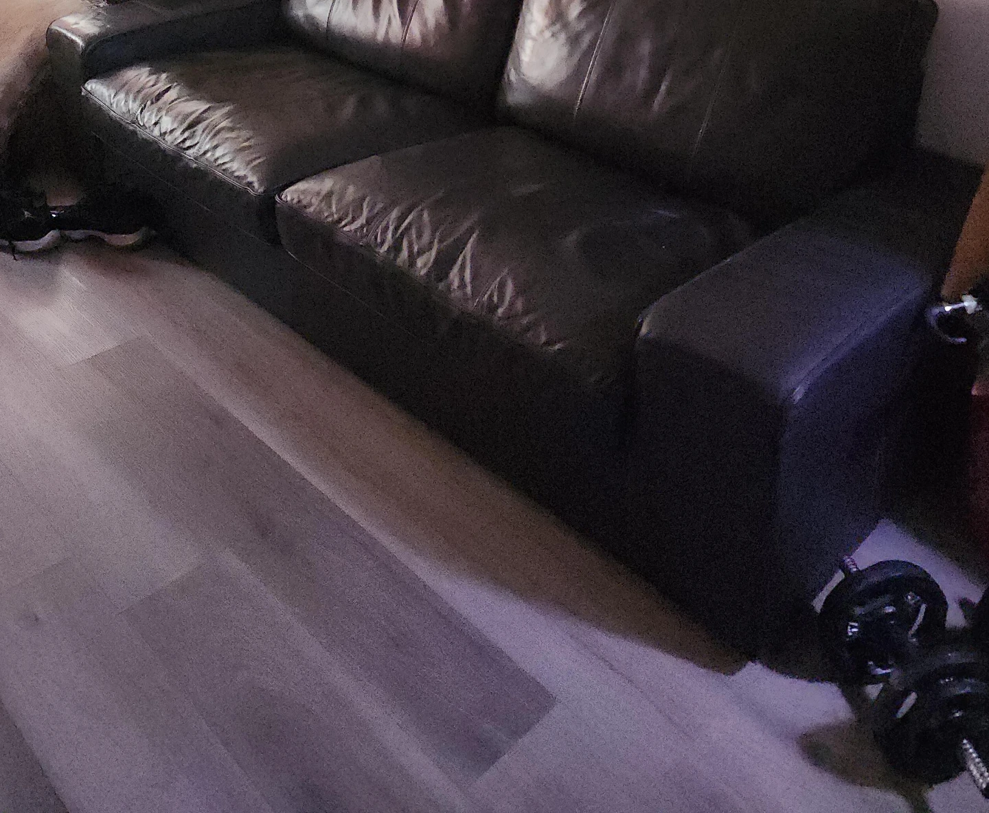 Brown Leather Sofa