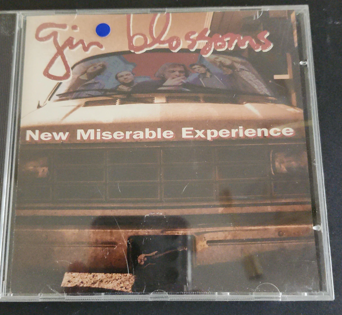 Gin Blossoms New Miserable Experience CD