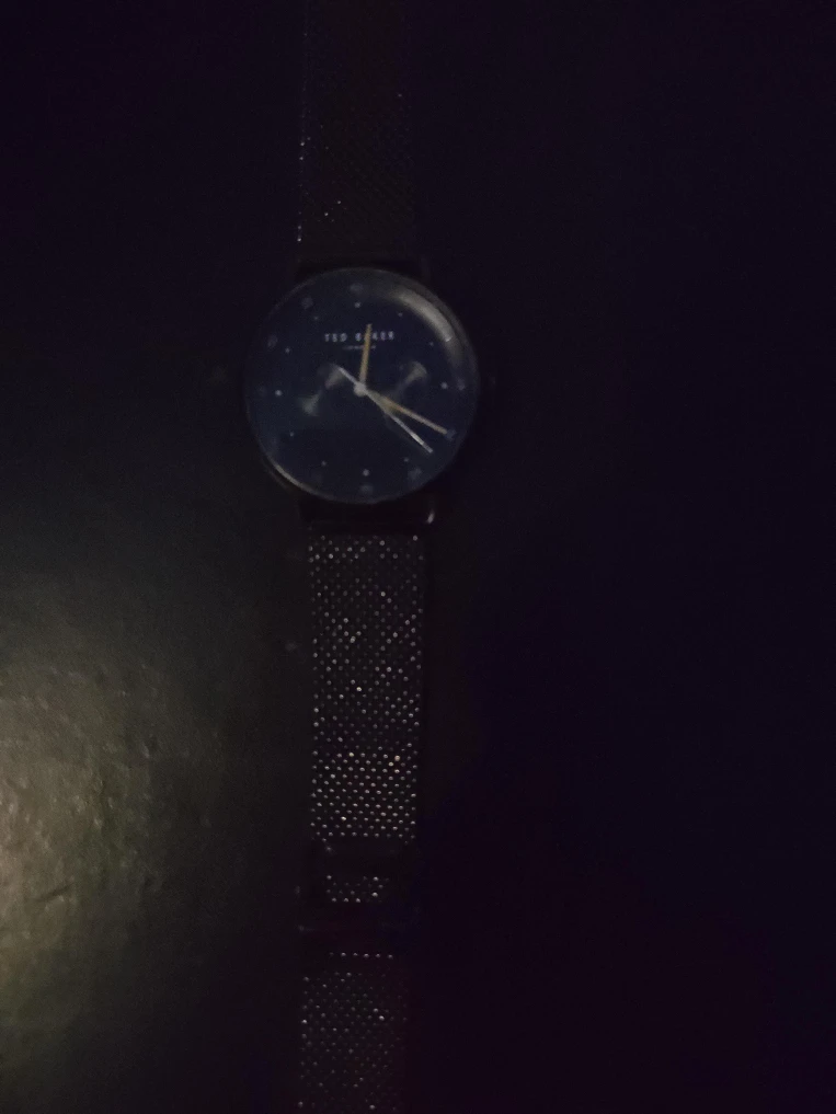 Ted Baker London Watch TE50520009