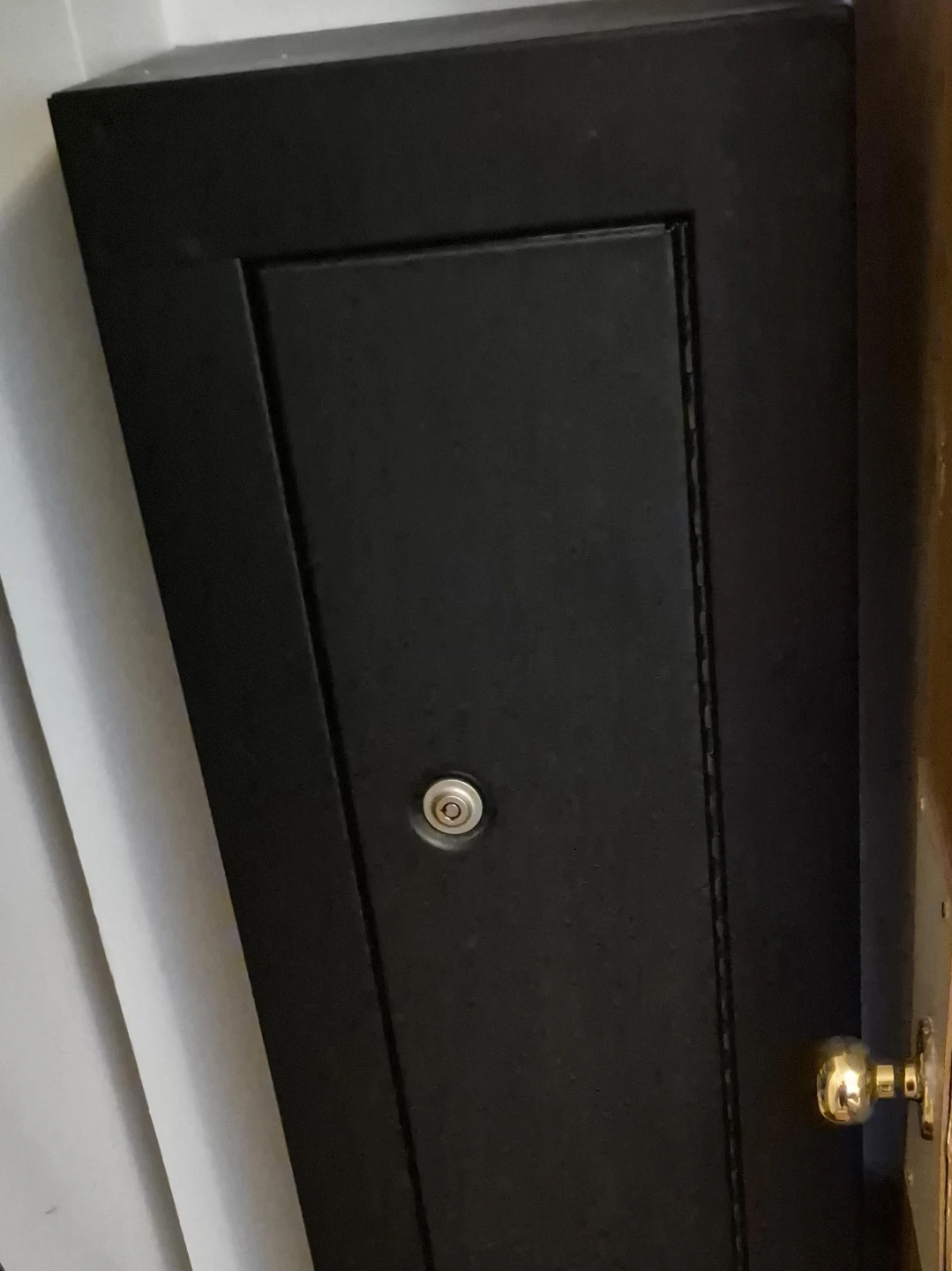 Black Steel Gun Security Cabinet