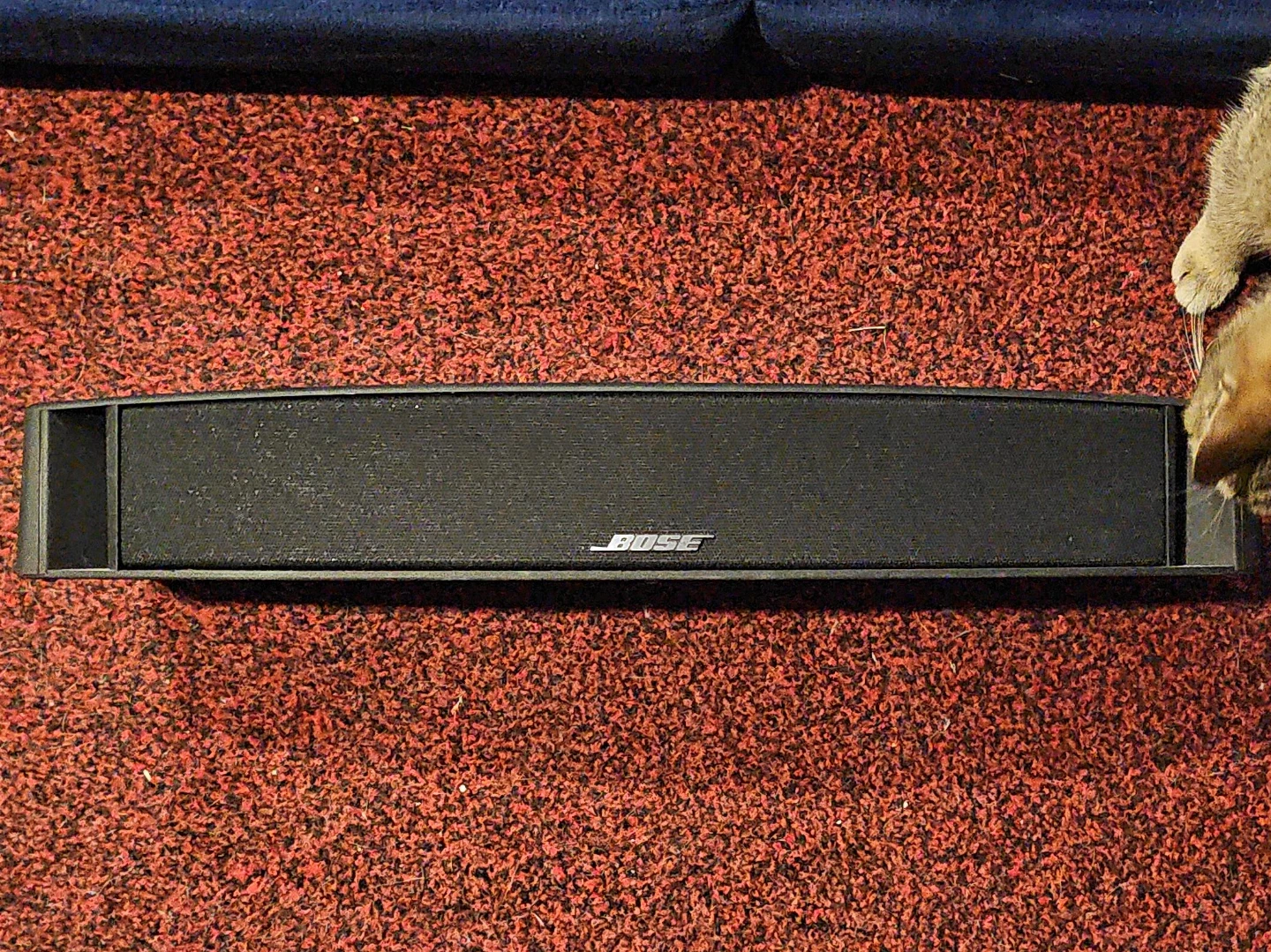 Bose VCS-10 Center Channel Speaker - photo 3