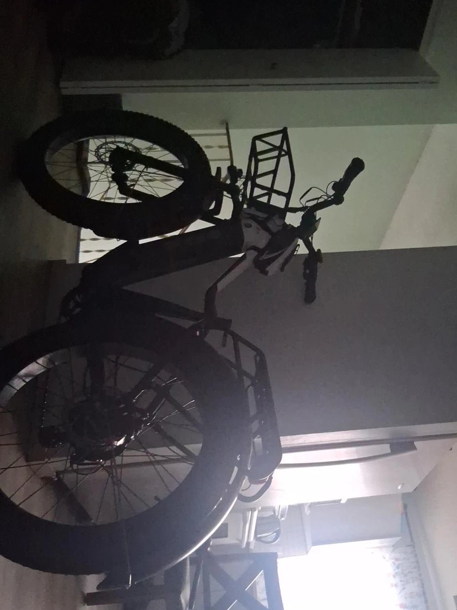 Fat Tire Electric Bike with Rack