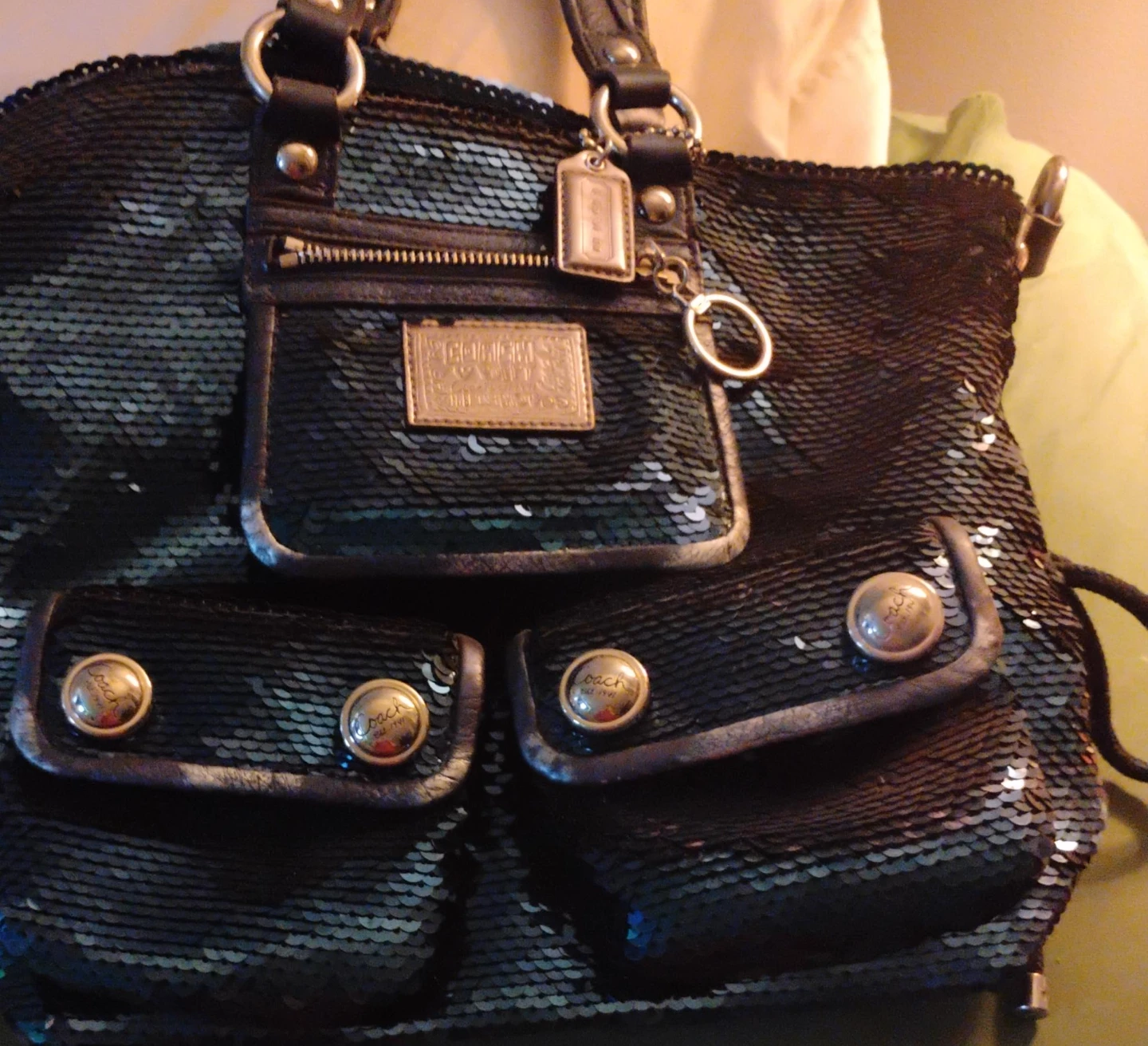 Coach Sequin Handbag blue