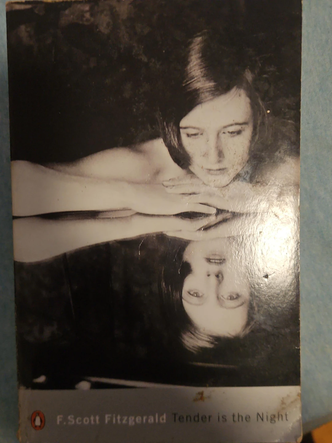 F. Scott Fitzgerald Tender is the Night Paperback Book
