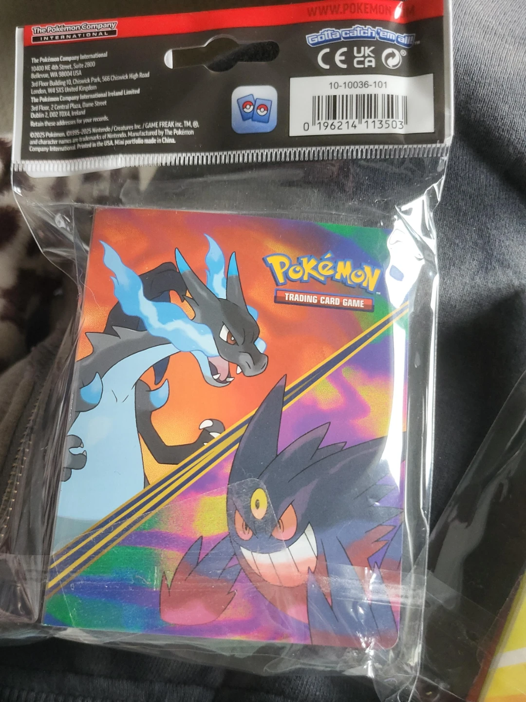 Pokemon Trading Card Game Mini Portfolio