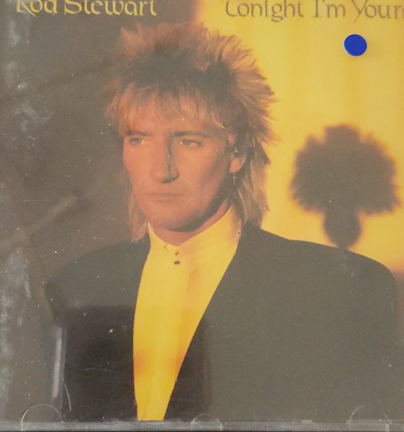 Rod Stewart Tonight I'm Yours CD