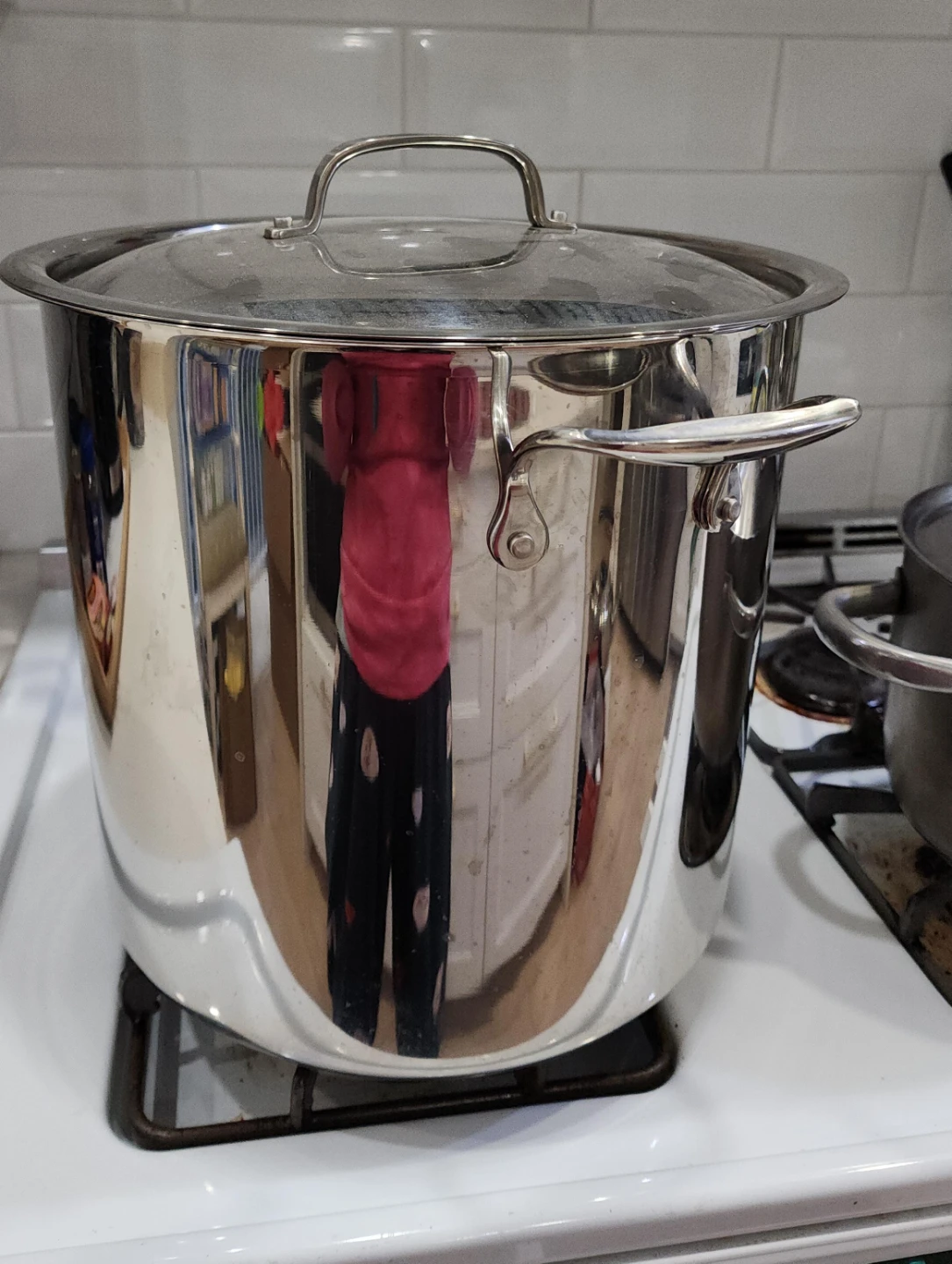 Bergner Stainless Steel Stock Pot