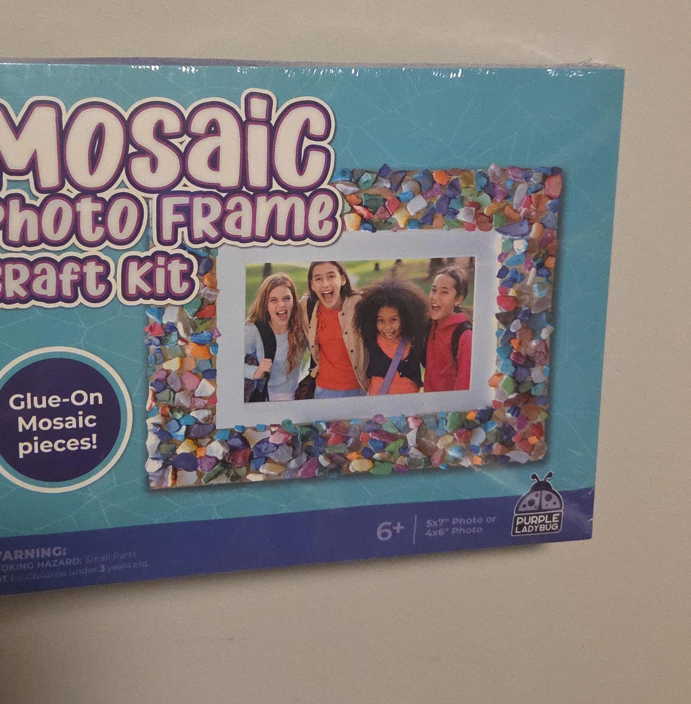 Purple Ladybug Mosaic Photo Frame Craft Kit