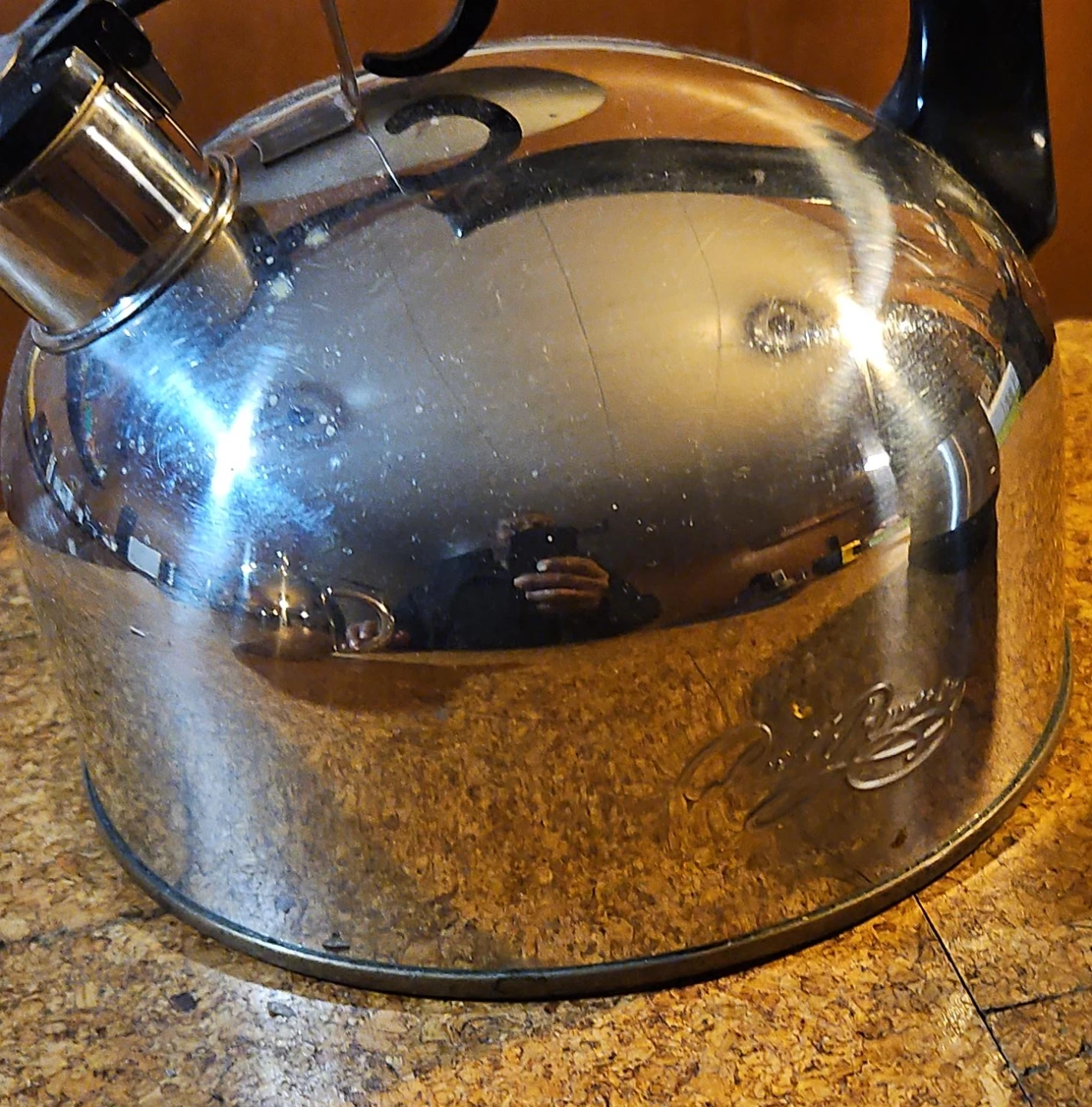 Regal Stainless Steel Stovetop Kettle