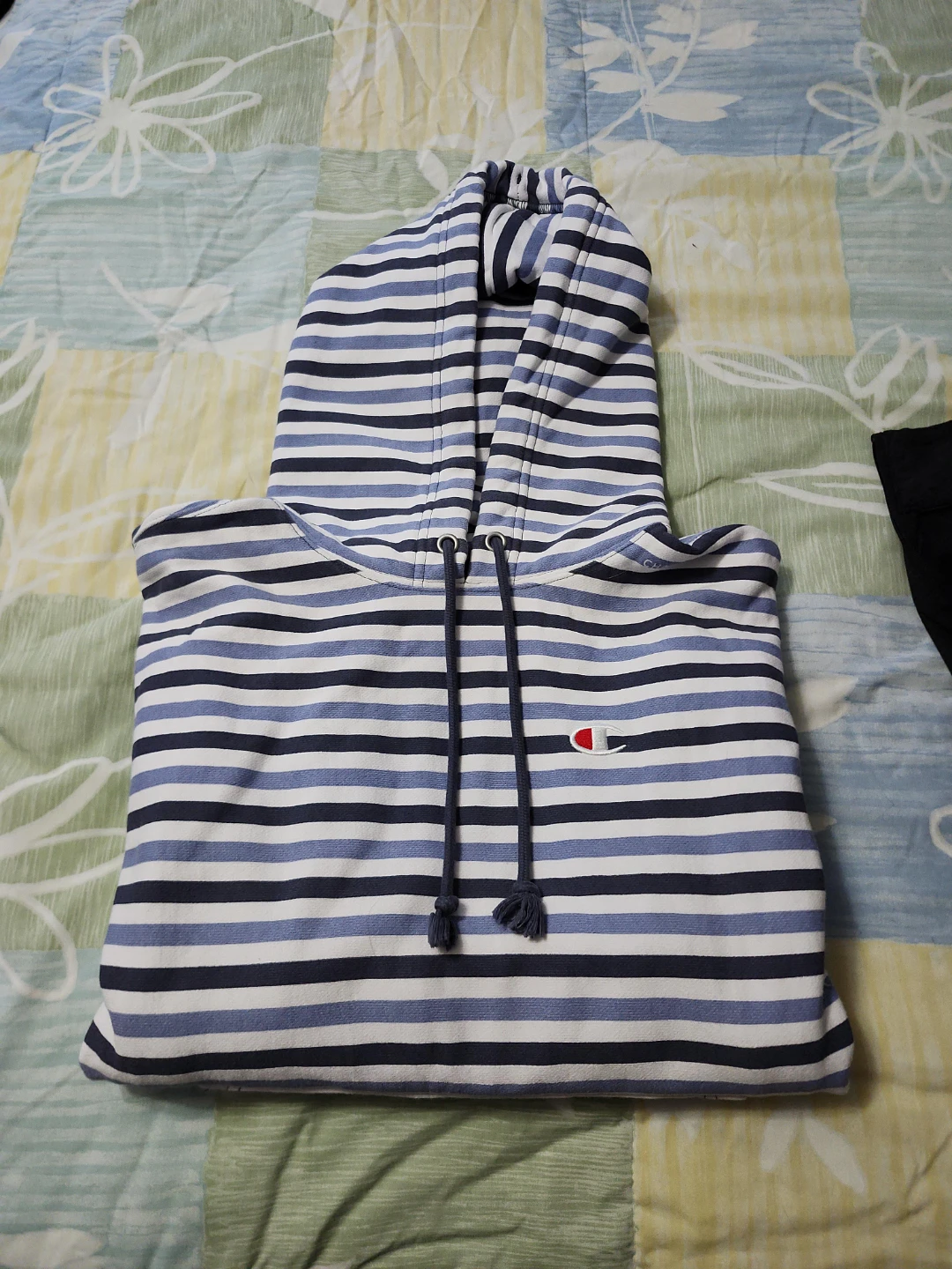 Champion Reverse Weave Striped Hoodie size Medium
