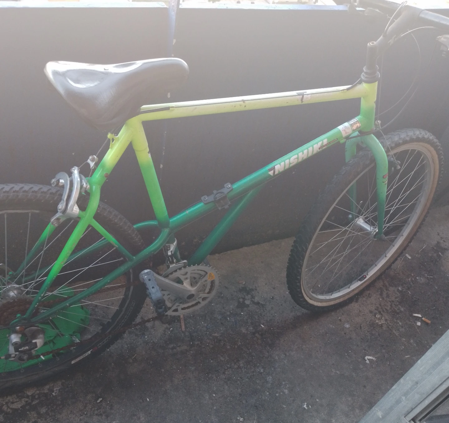Nishiki Mountain Bike - Green