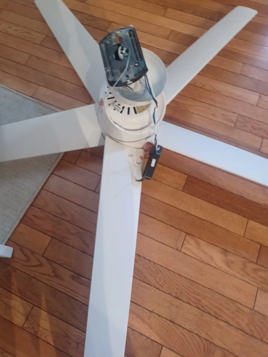 White Ceiling Fan