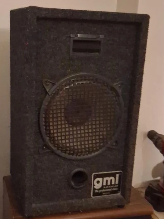 GML Sound Professional Speaker i have 2 of the
