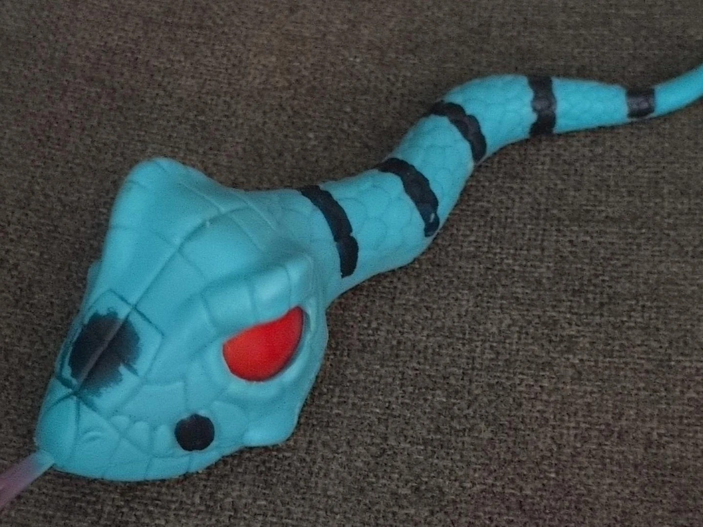 Blue Snake Stress Toy
