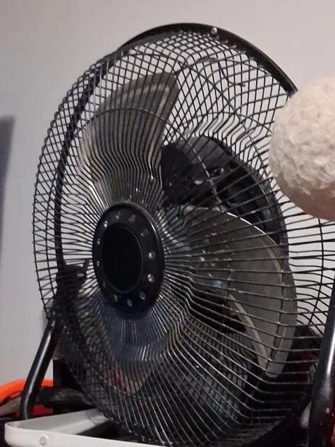 Black Oscillating Fan 🧡
