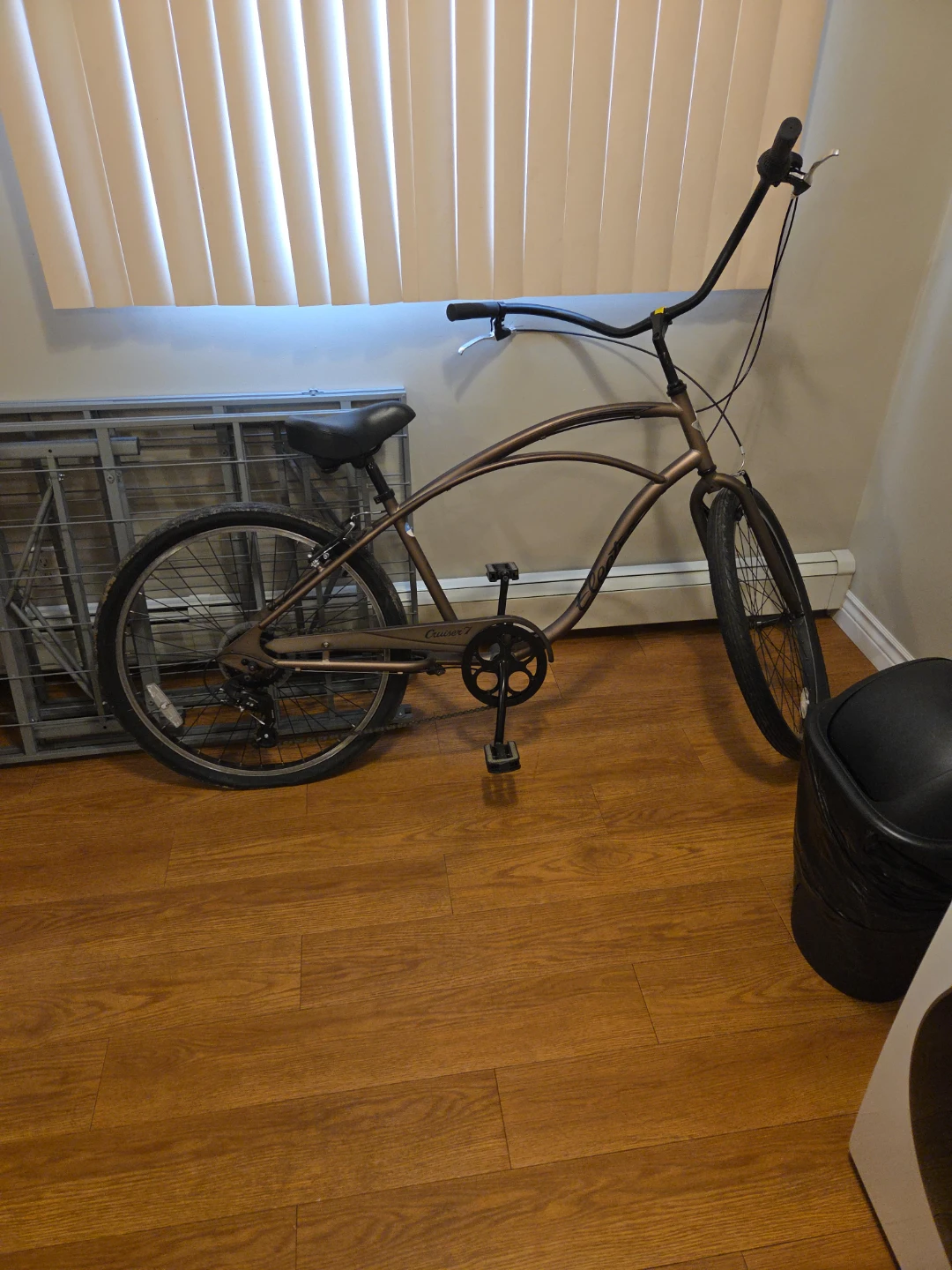 Women's Cruiser Bike 🌱