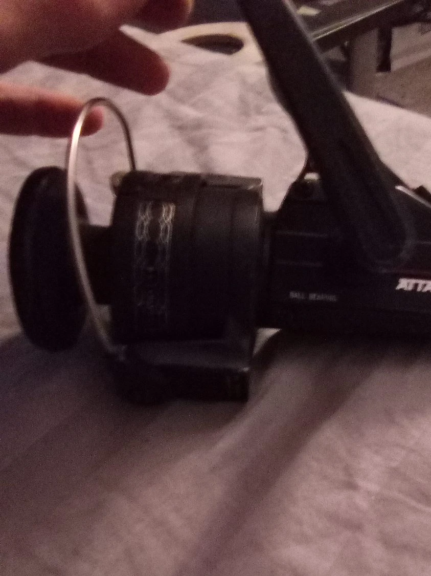 Shimano Spinning Fishing Reel