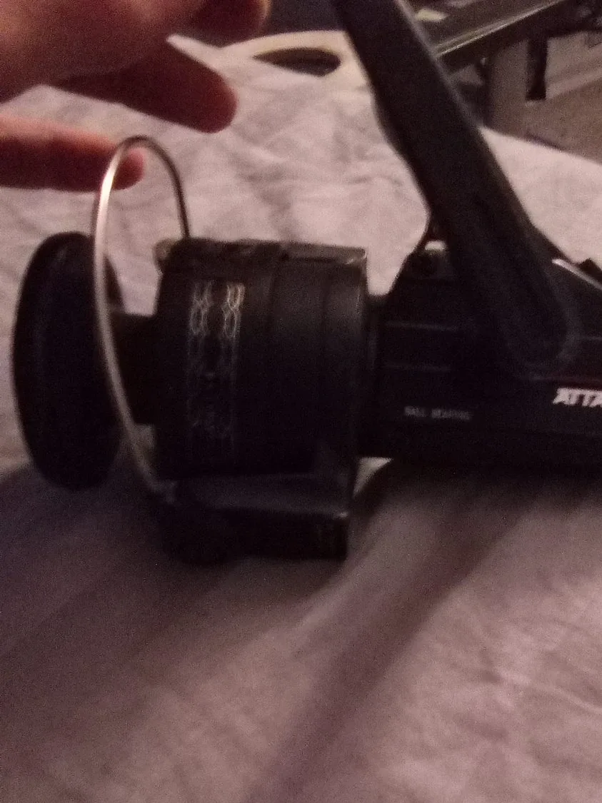 Shimano Spinning Fishing Reel