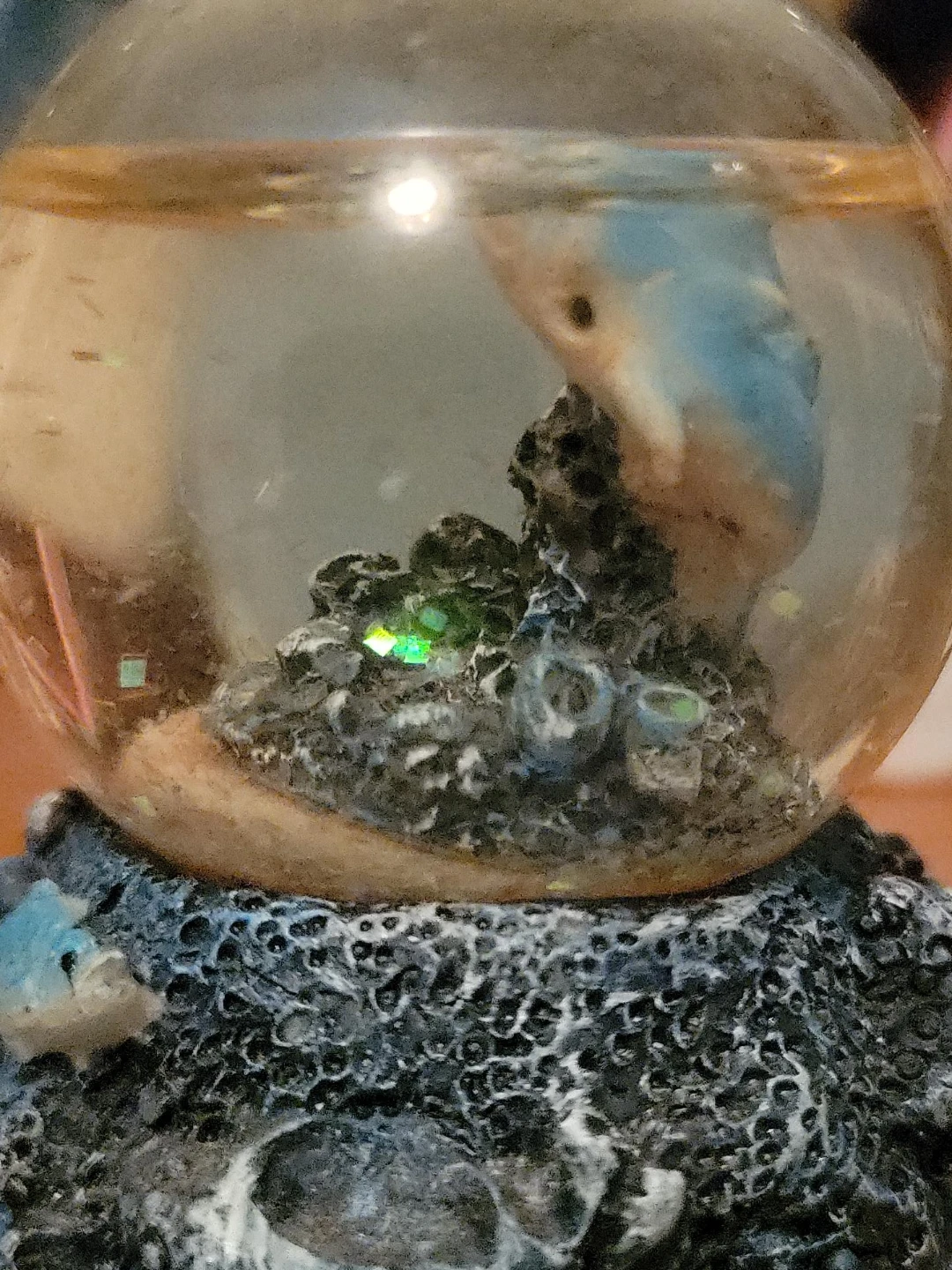 Decorative Snow Globe with Blue Bird Figure