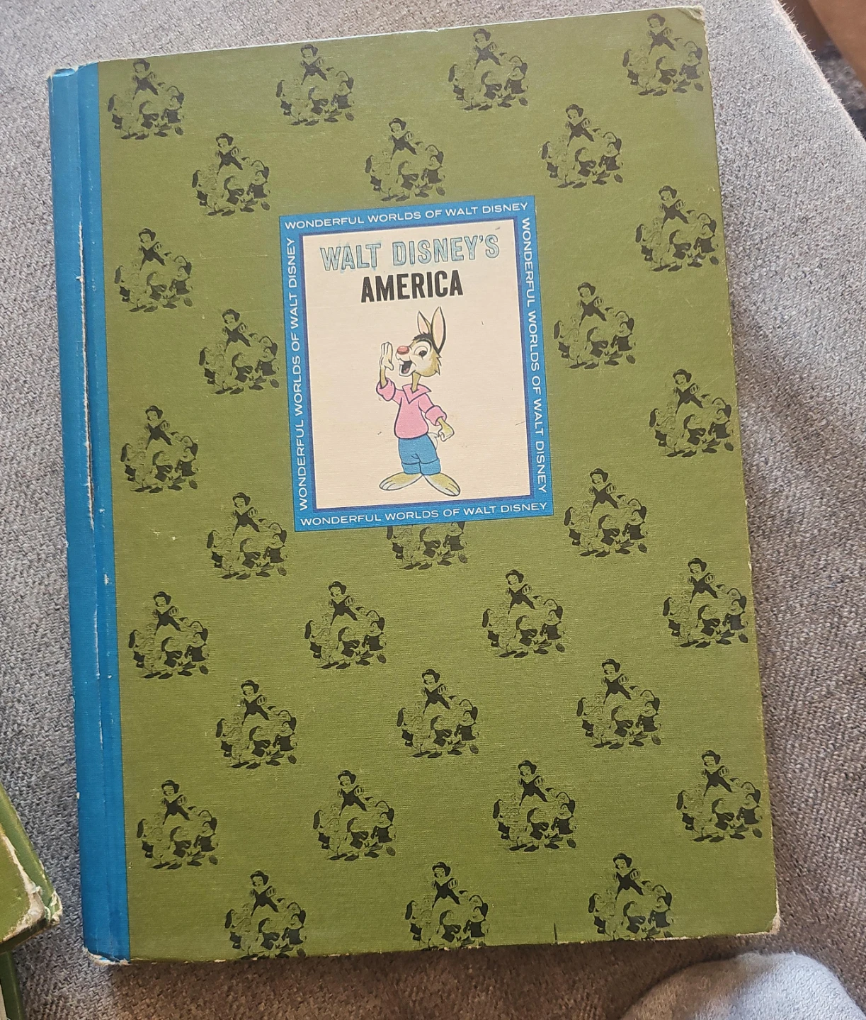 Walt Disney's America Book