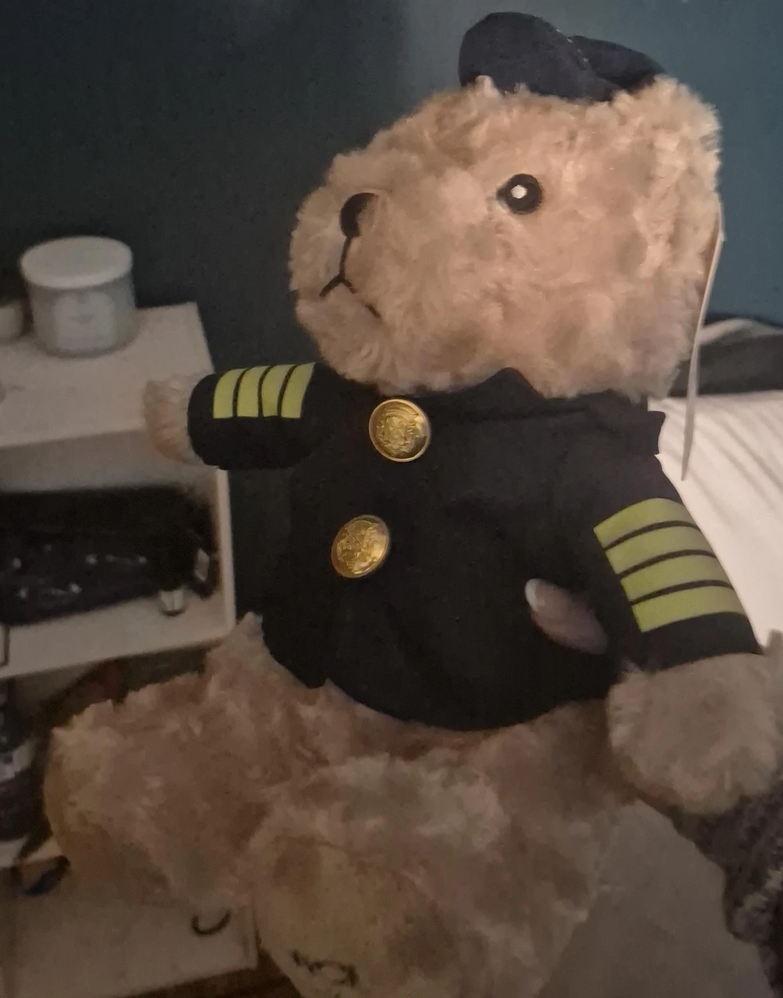Norwegian Cruise Line Teddy Bear