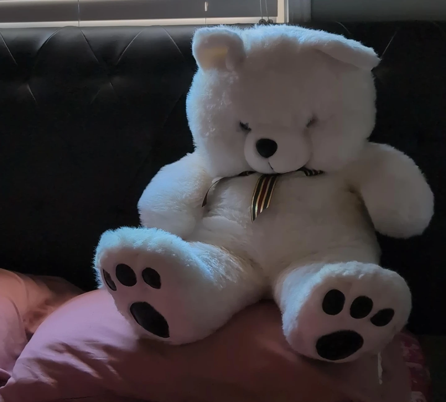 White Teddy Bear Plush Toy