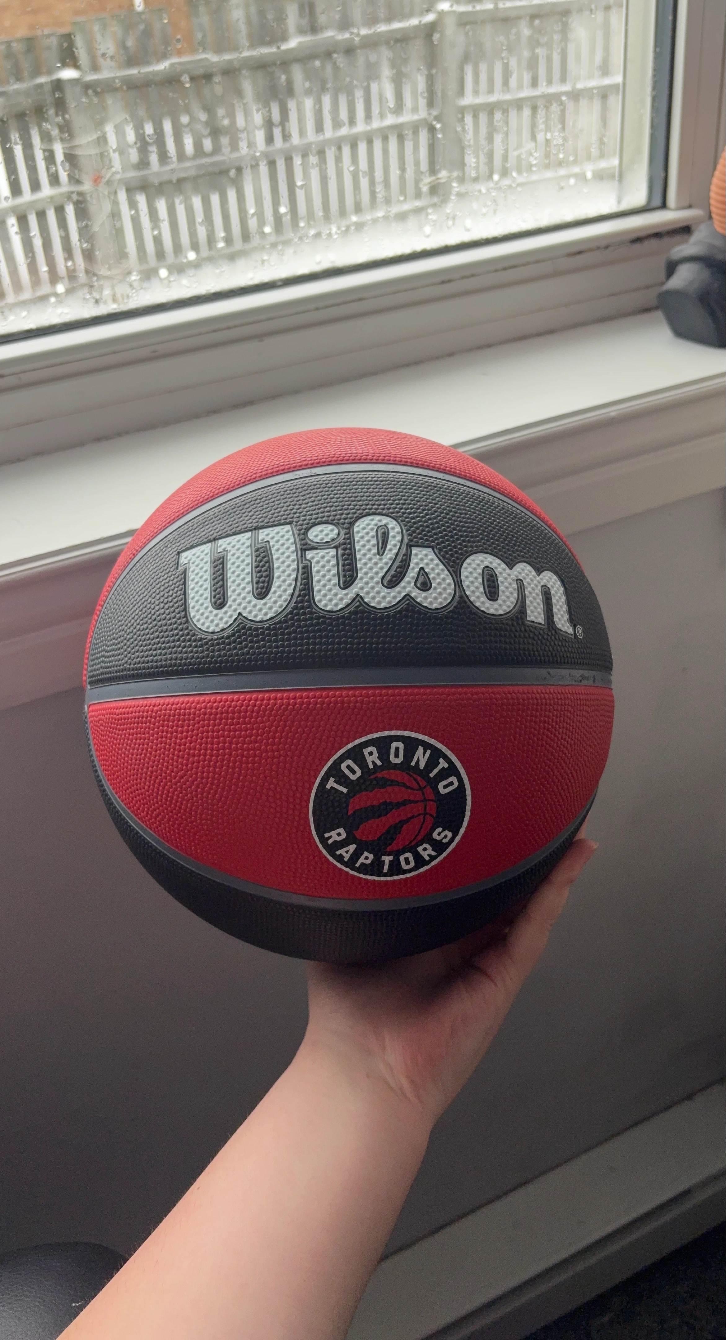 Wilson NBA Toronto Raptors Basketball