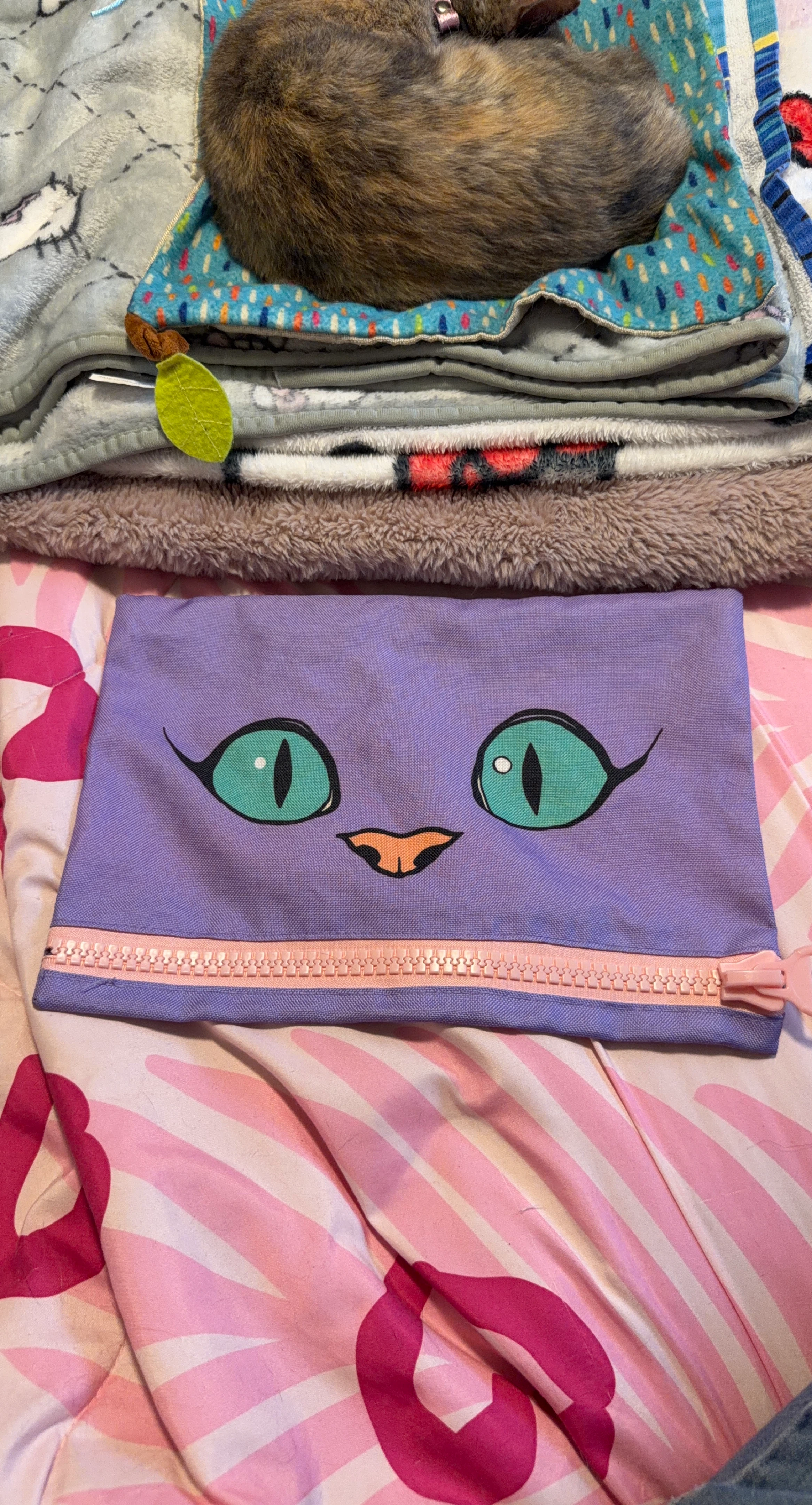 Purple Cat Face Zipper Pouch
