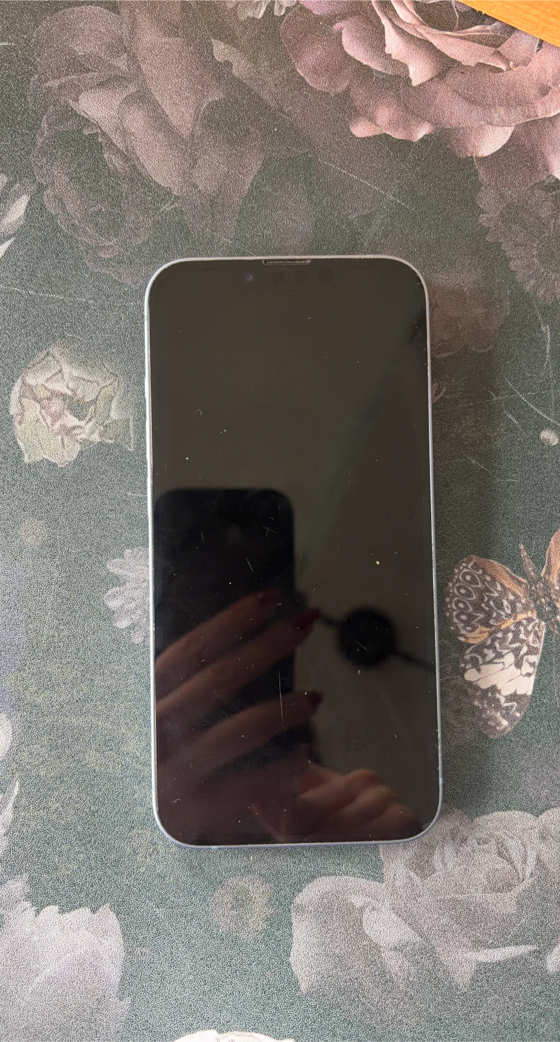 Apple iPhone 14 - Blue