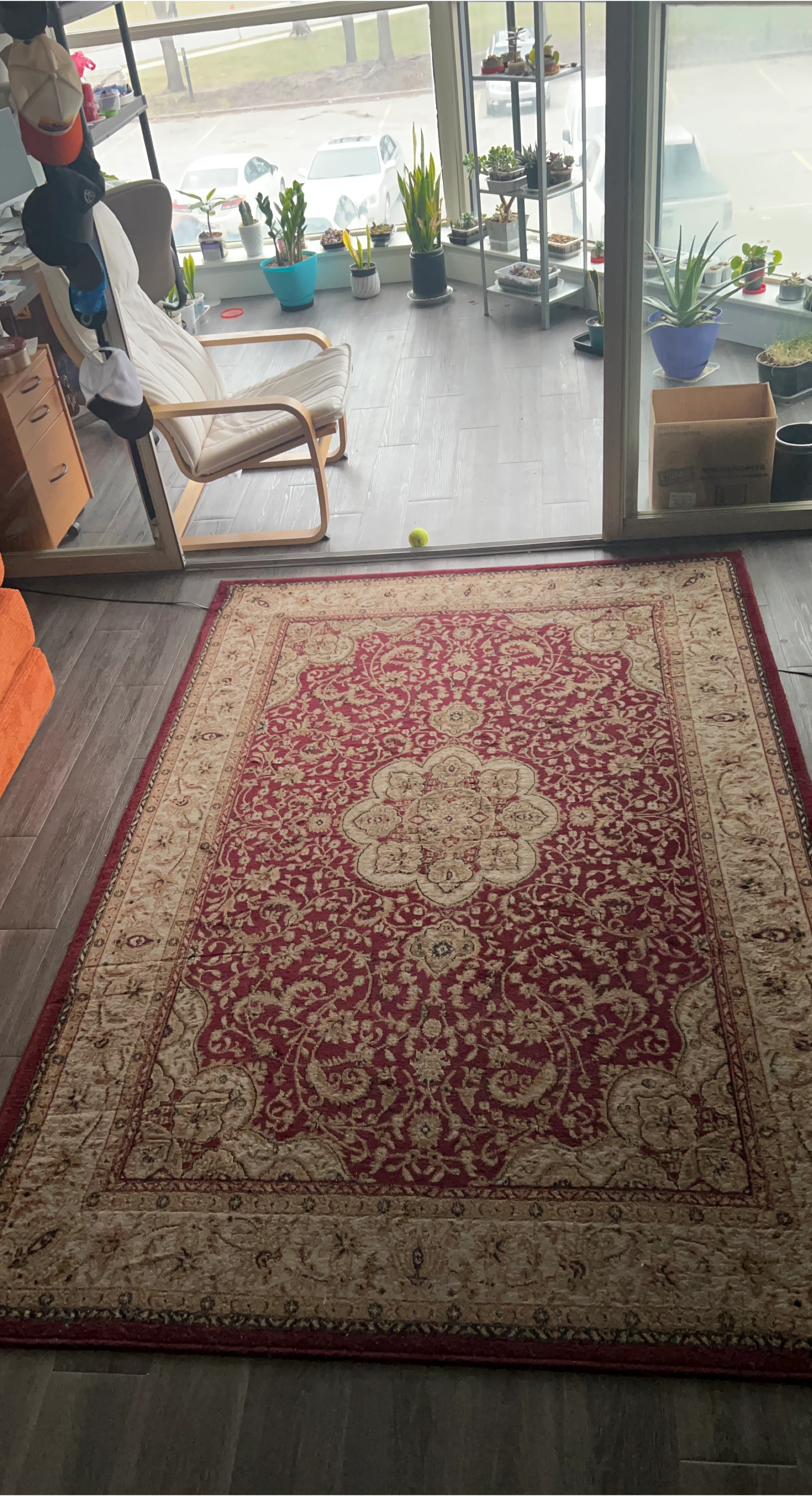 Persian Style Oriental Area Rug