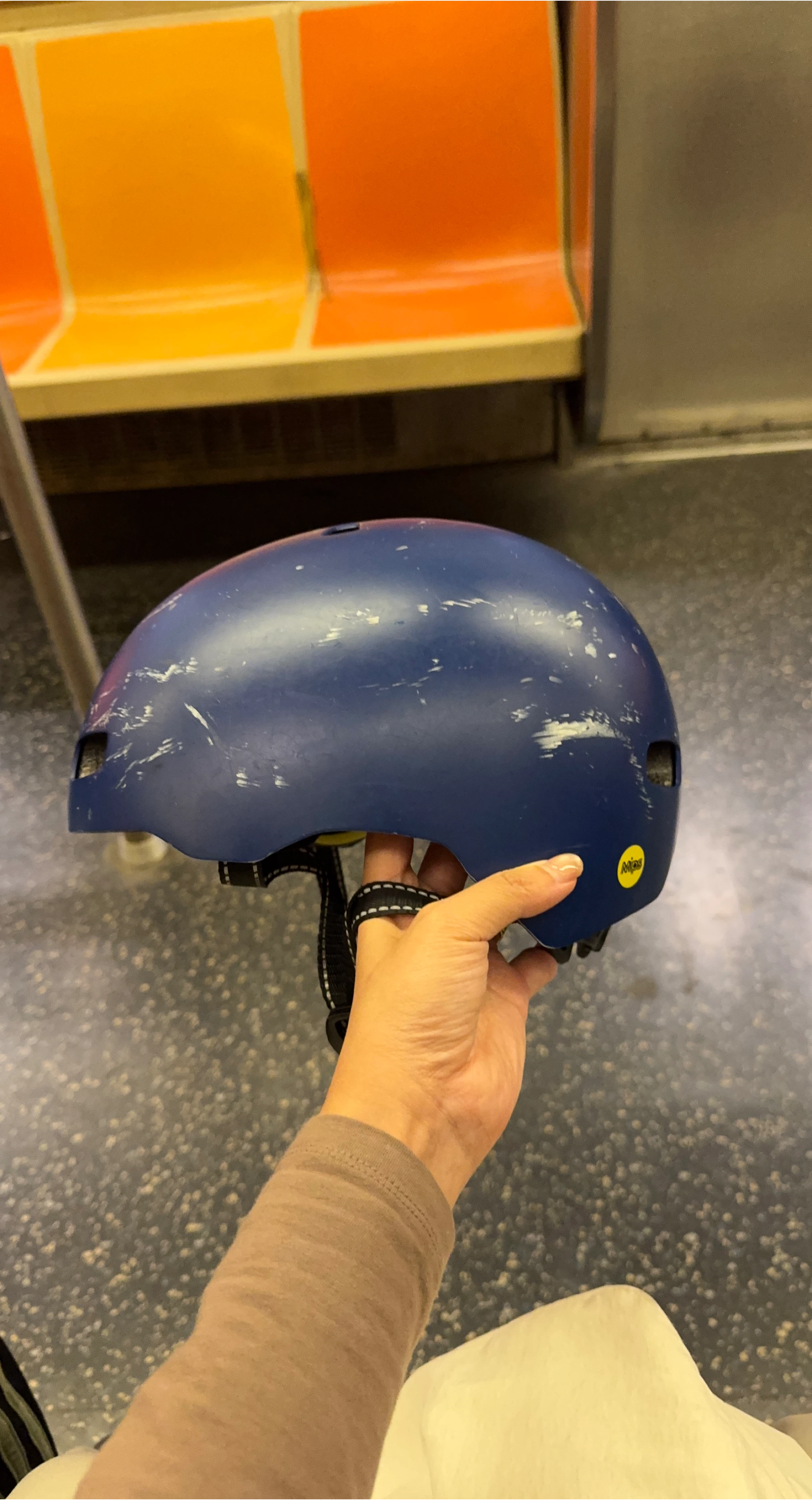 Smith MIPS Bike Helmet