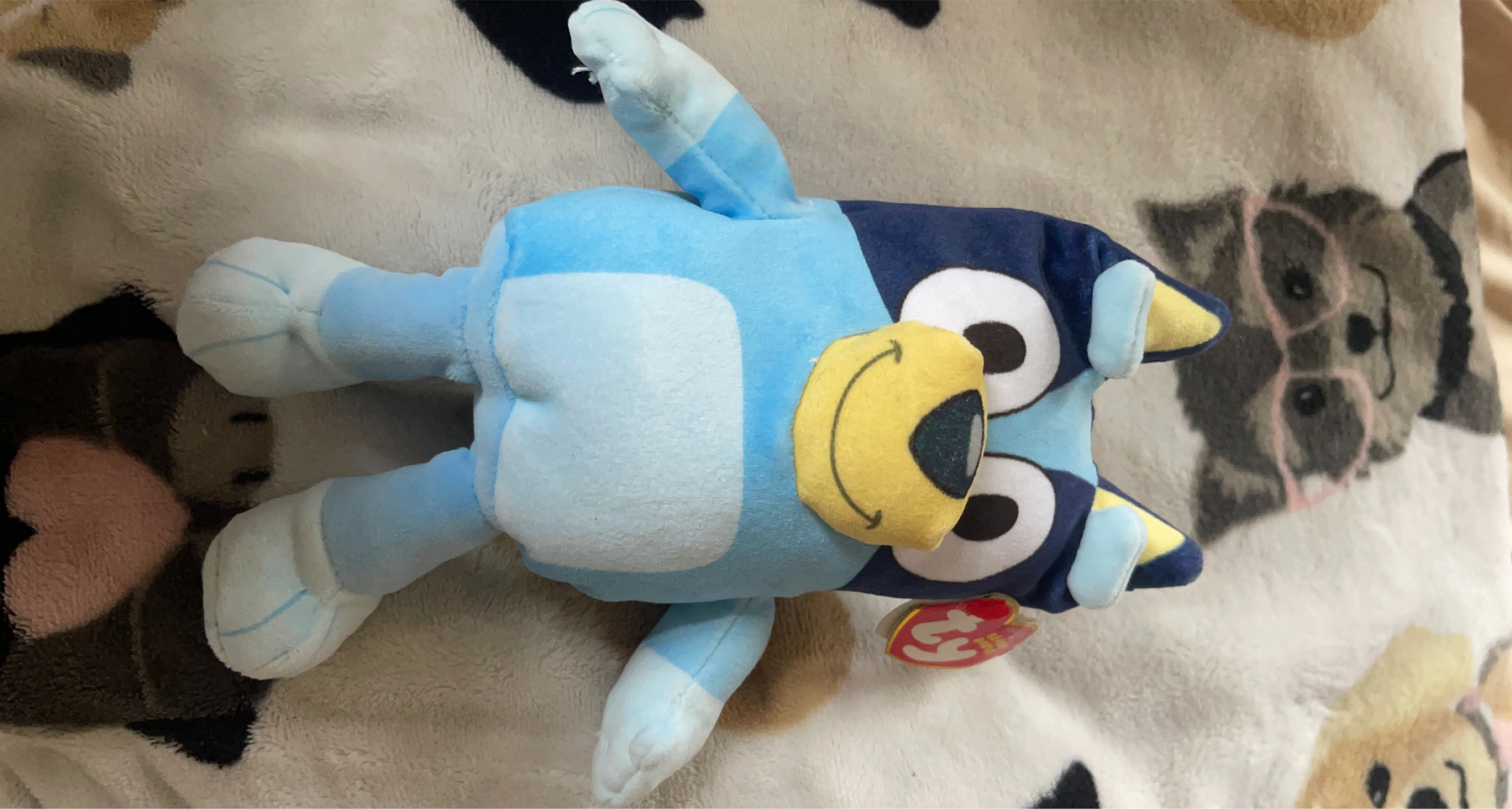 Bluey Plush Toy
