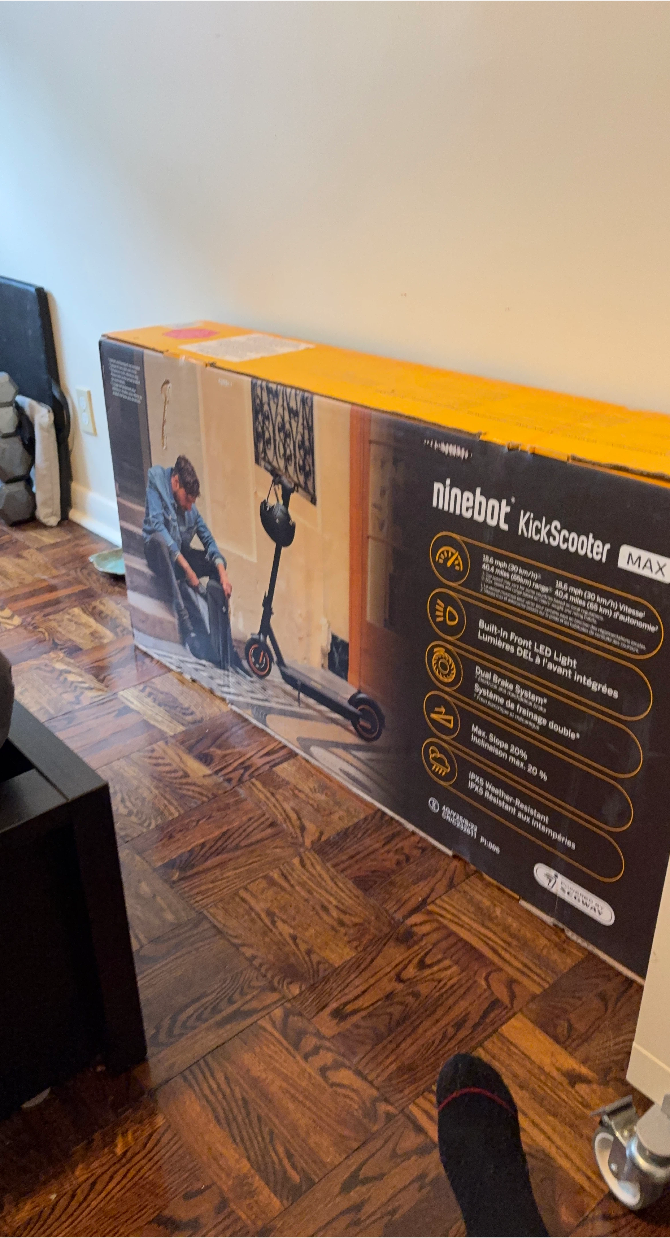 Ninebot KickScooter MAX