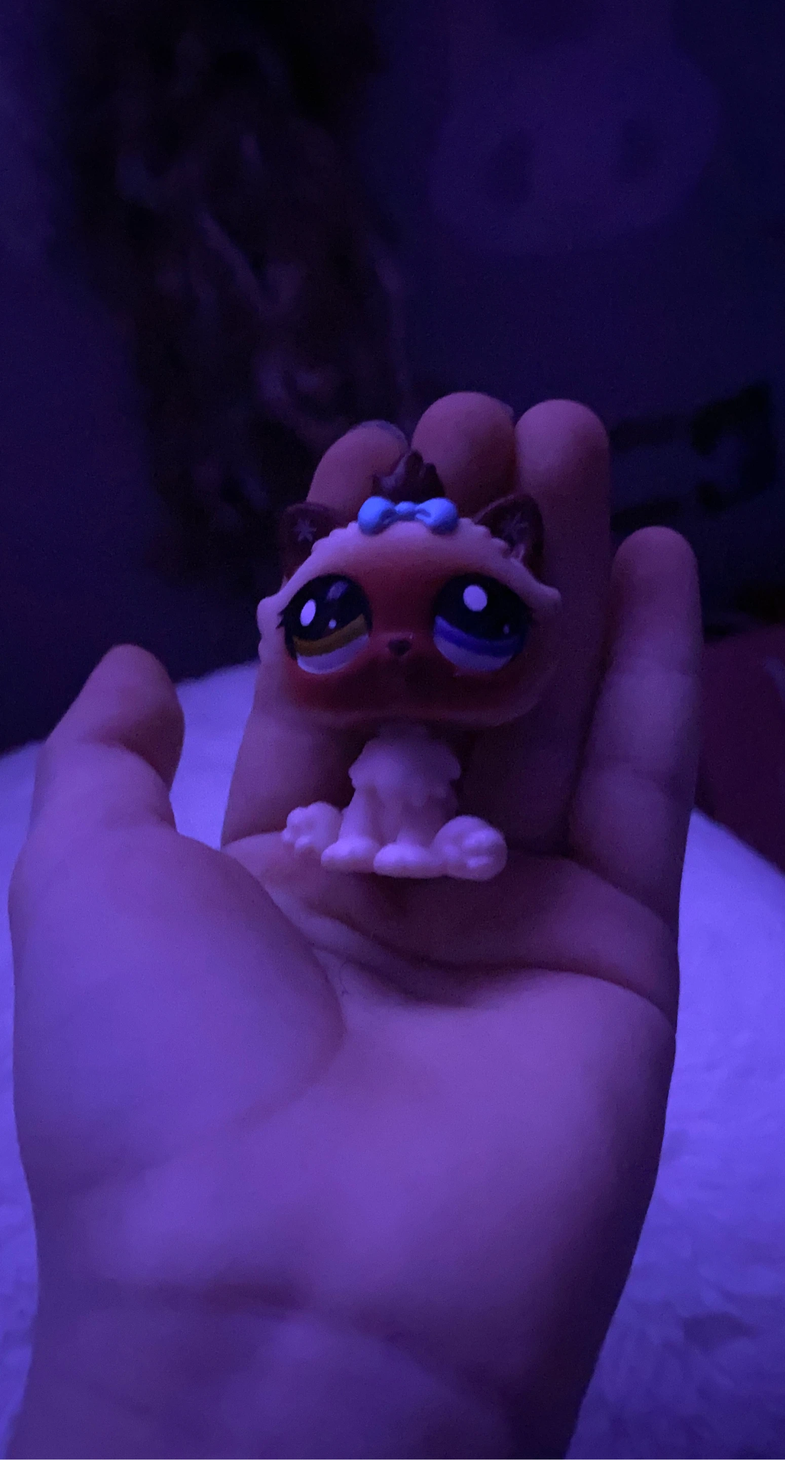 Littlest Pet Shop Cat Toy