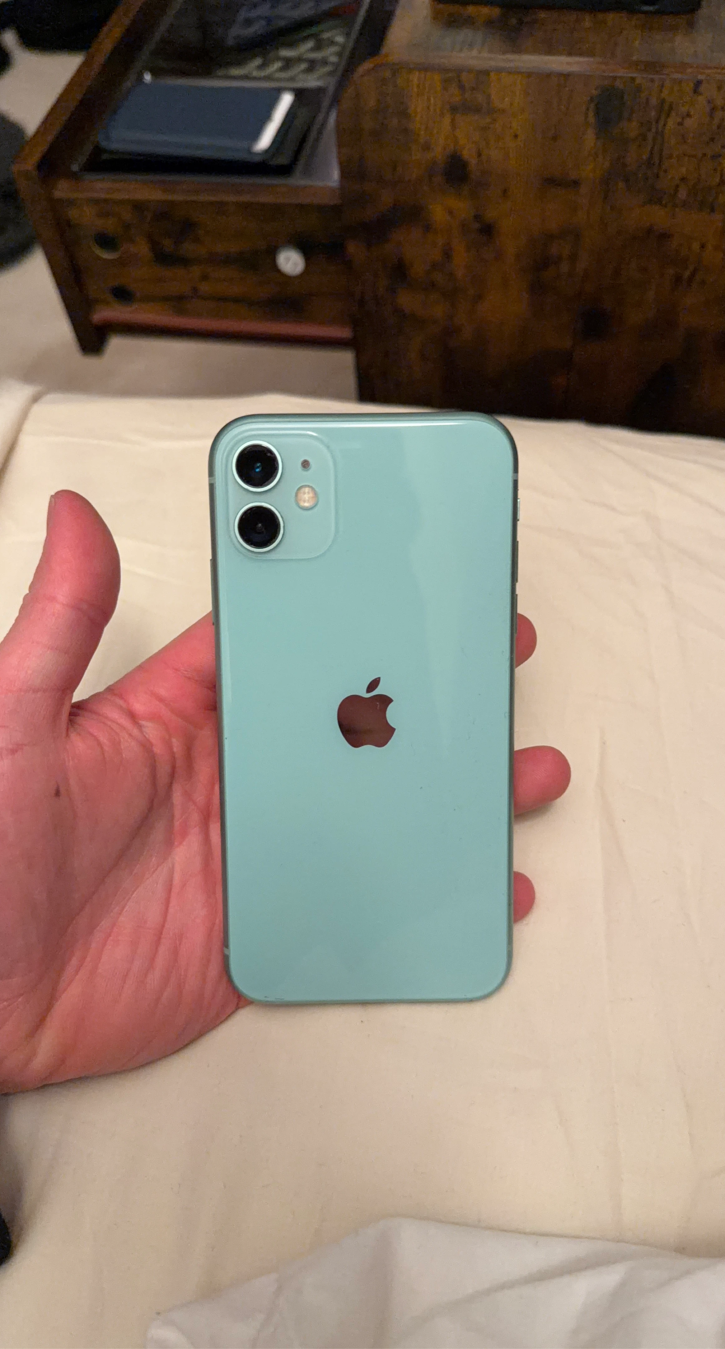 Apple iPhone 11 - Mint Green