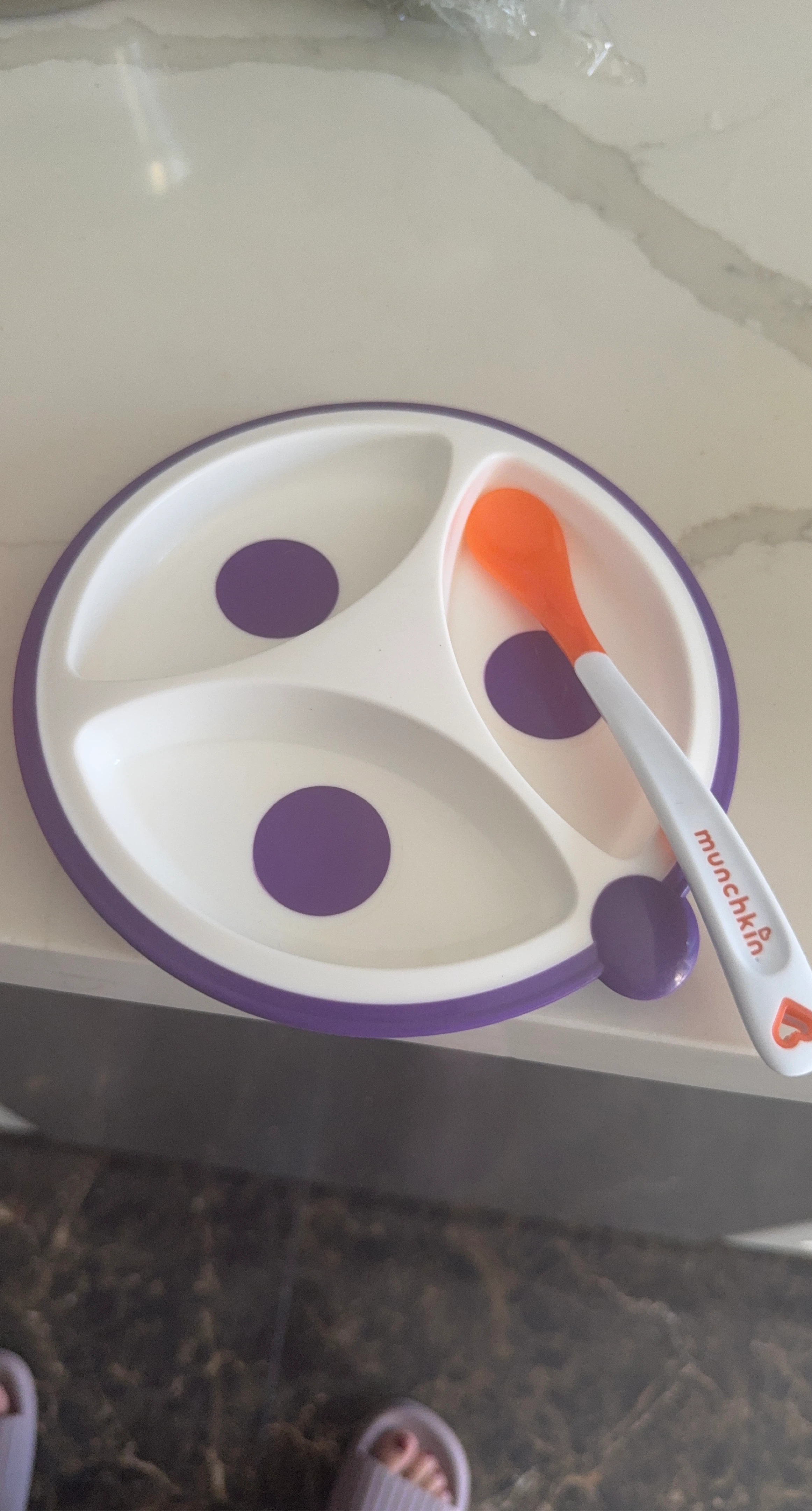 Dr brown Divided Plate with munchin Spoon Set