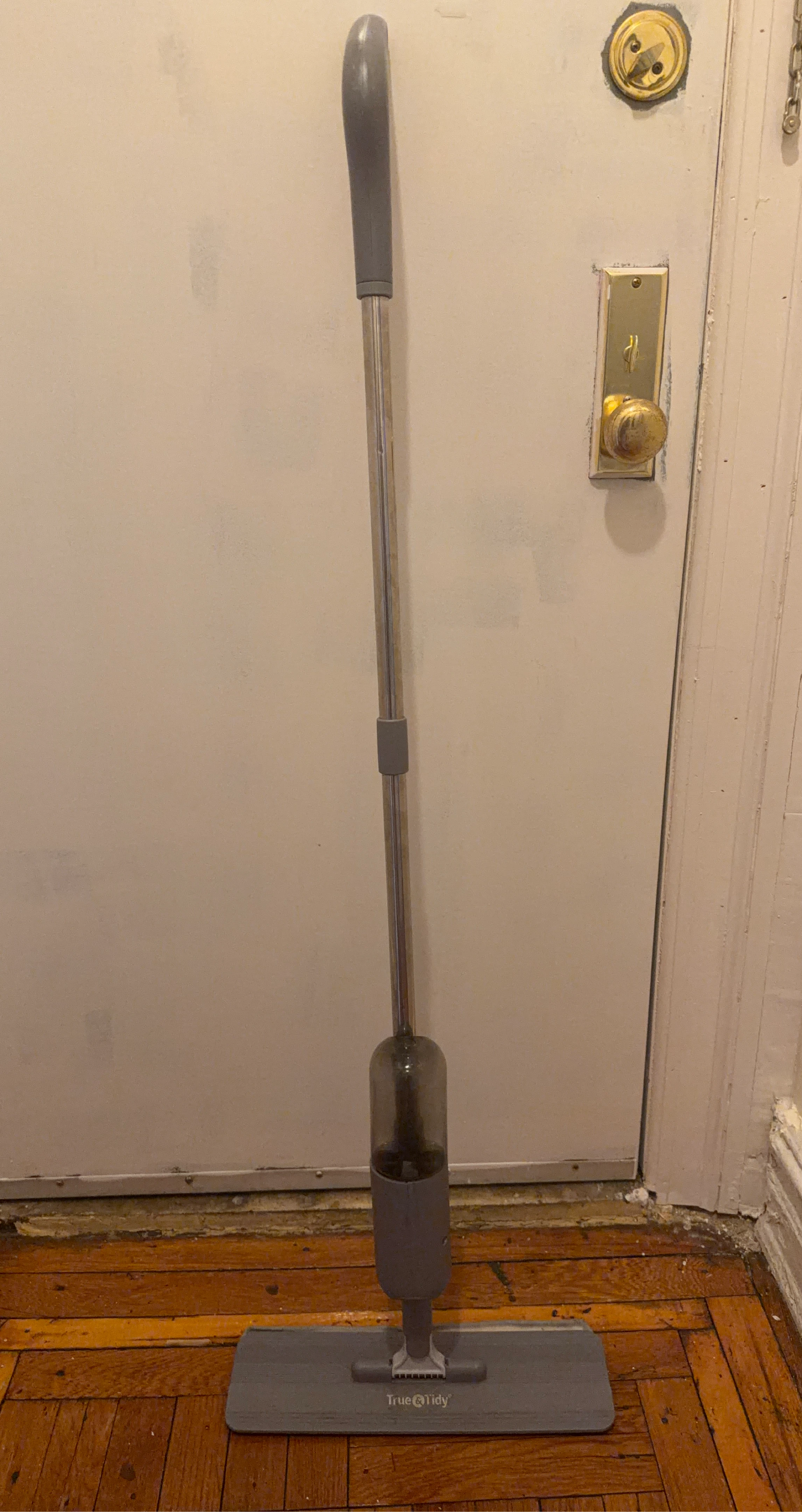 True & Tidy Spray Mop
