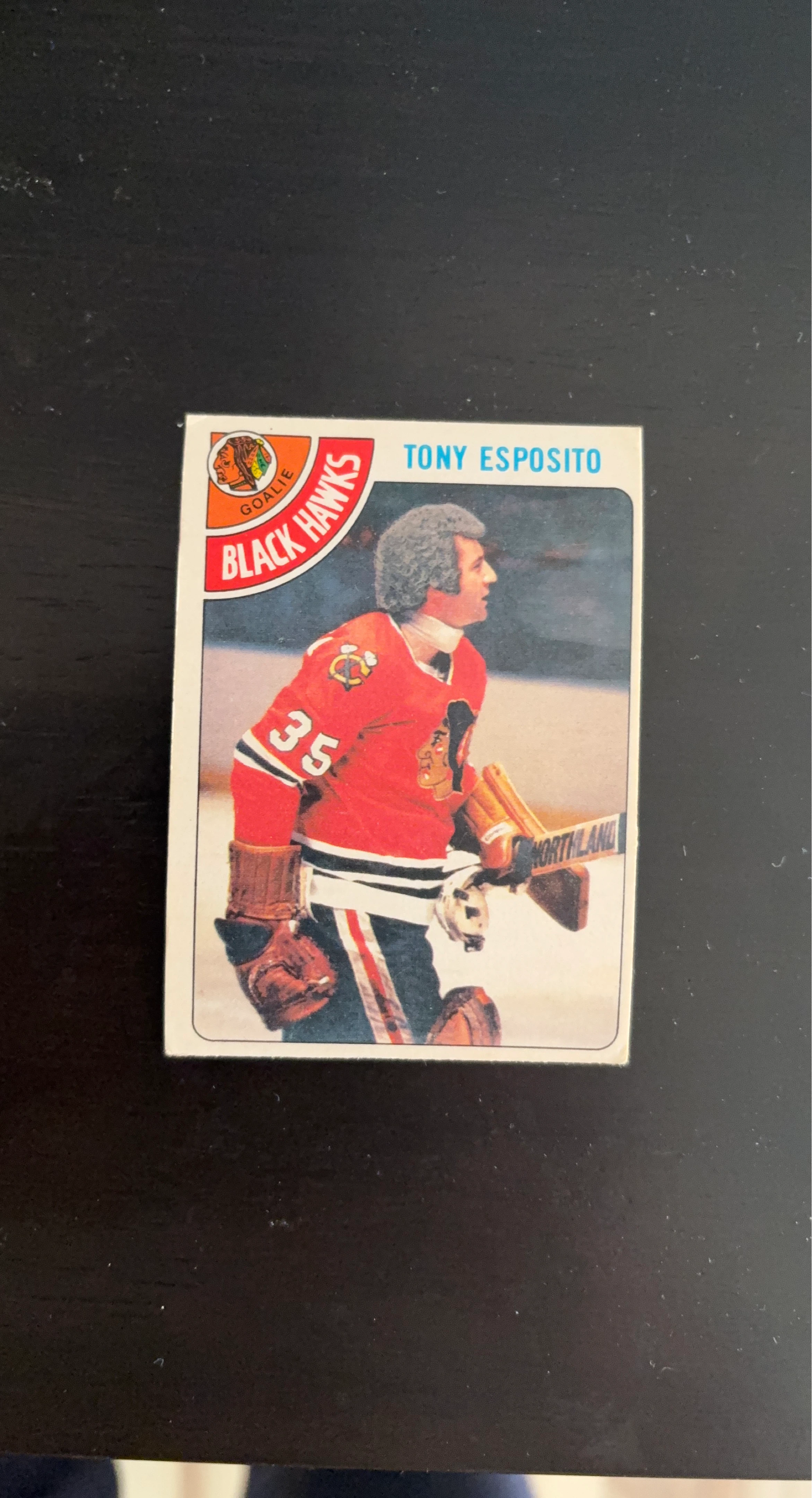 Tony Esposito Chicago Blackhawks Goalie Card