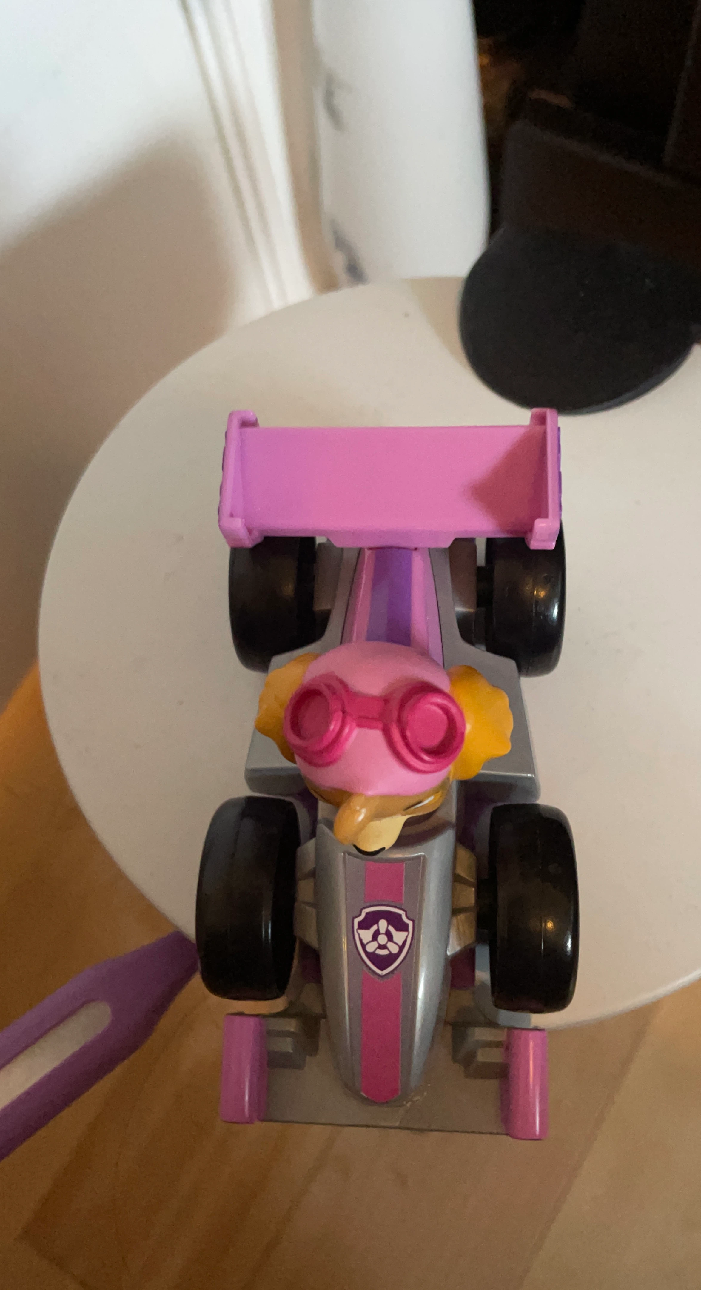 Paw Patrol Skye Race Car Toy