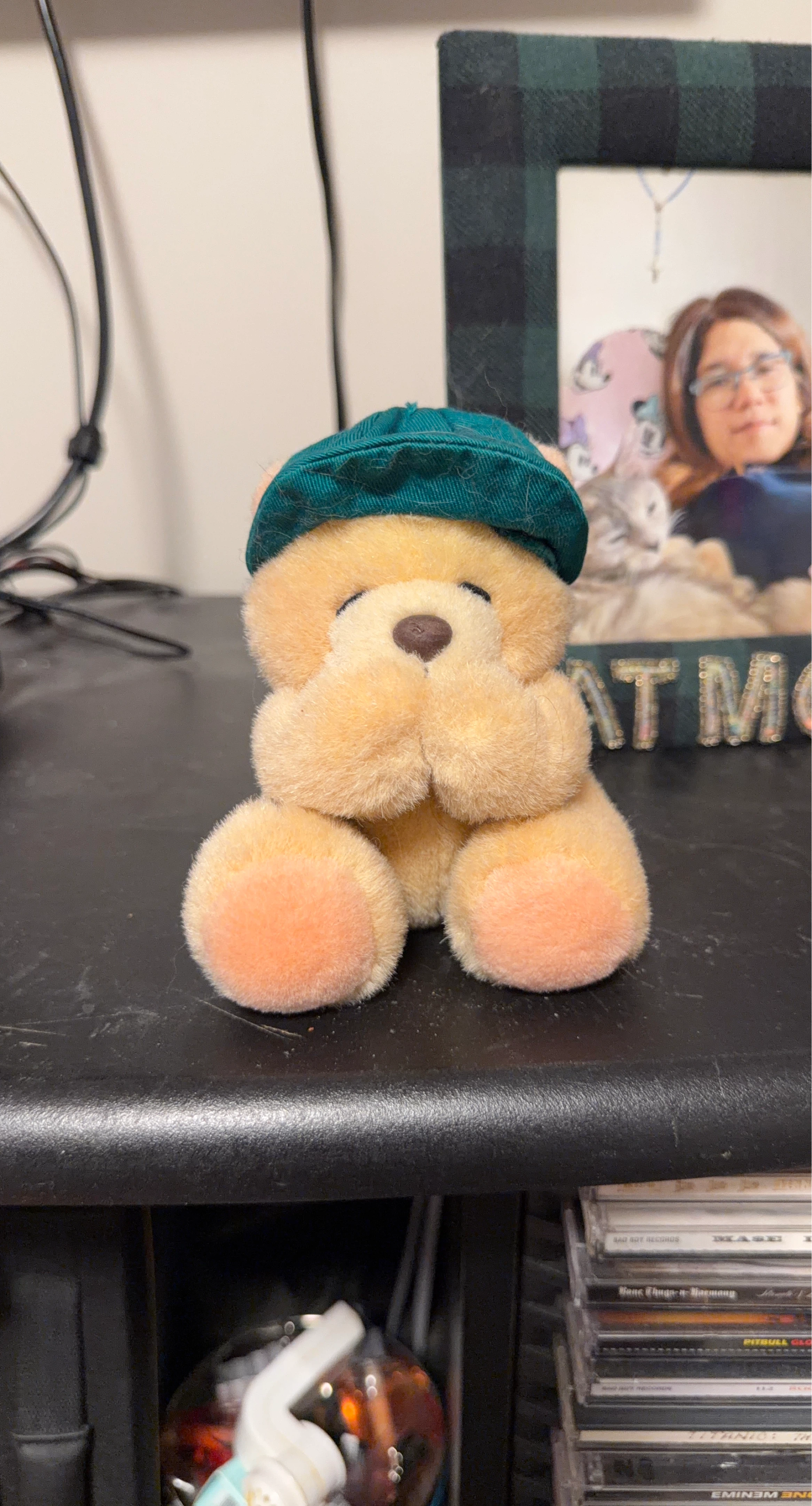 Plush Teddy Bear with Green Cap
