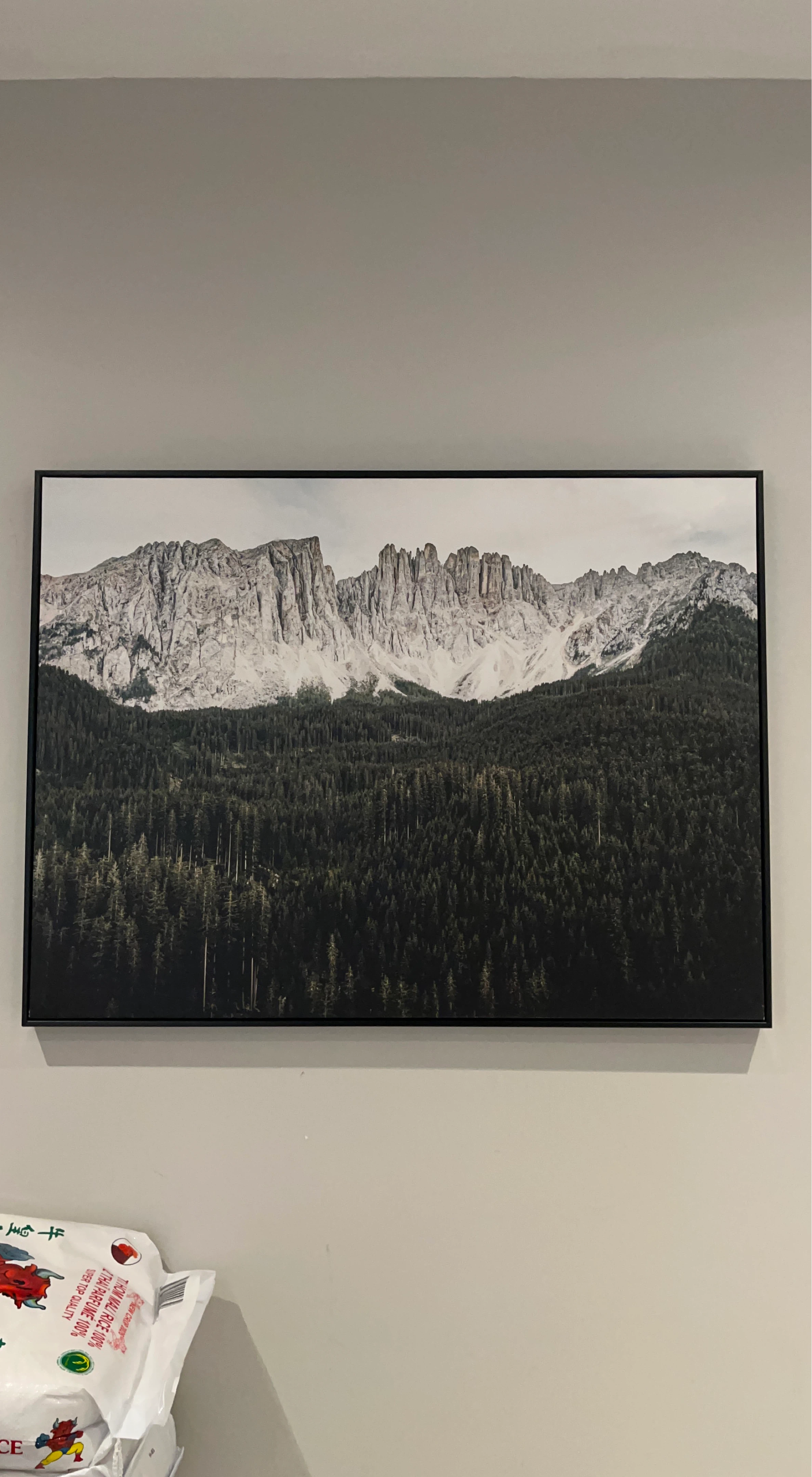 Framed Mountain and Forest Landscape Wall Art