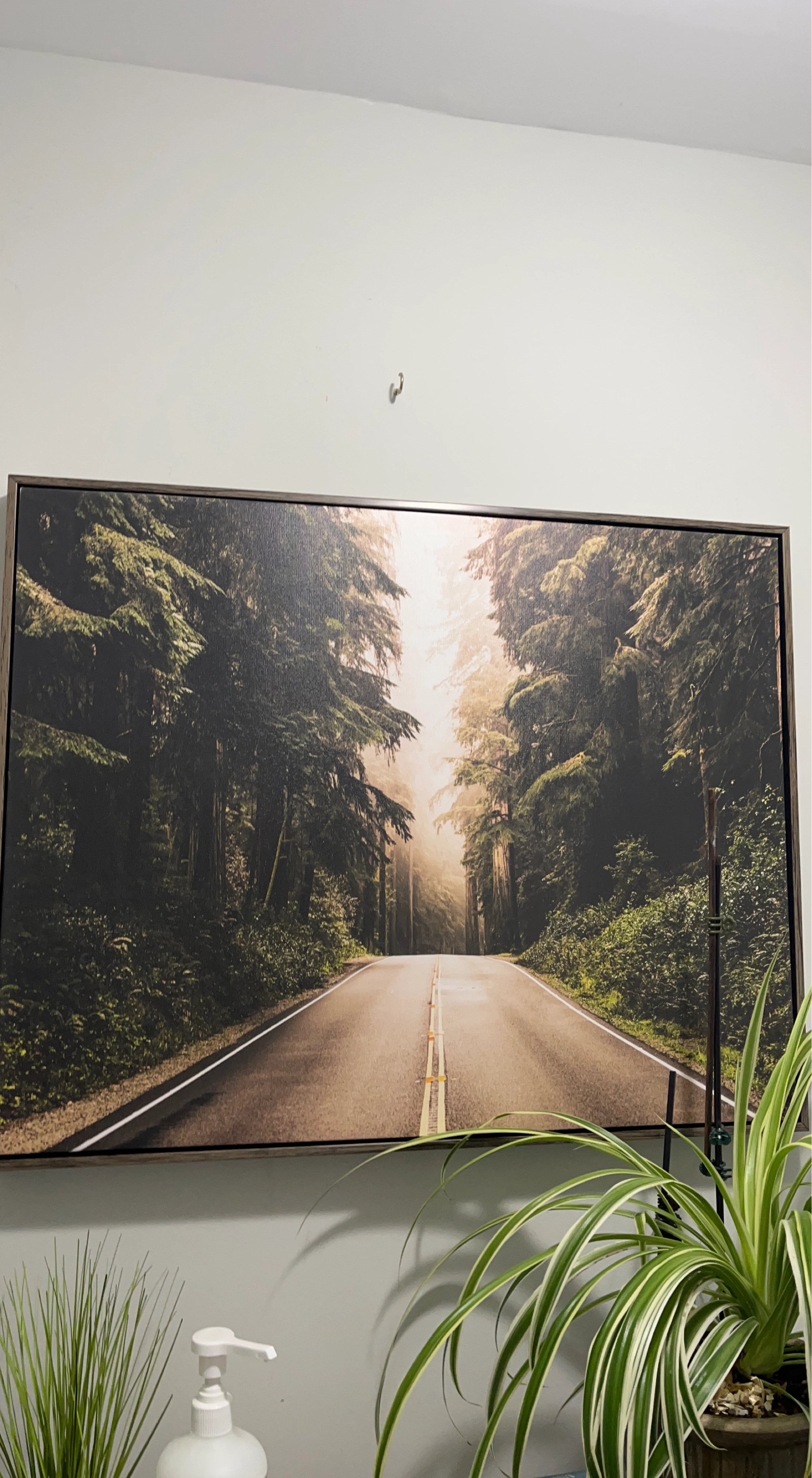 Forest Road Canvas Wall Art