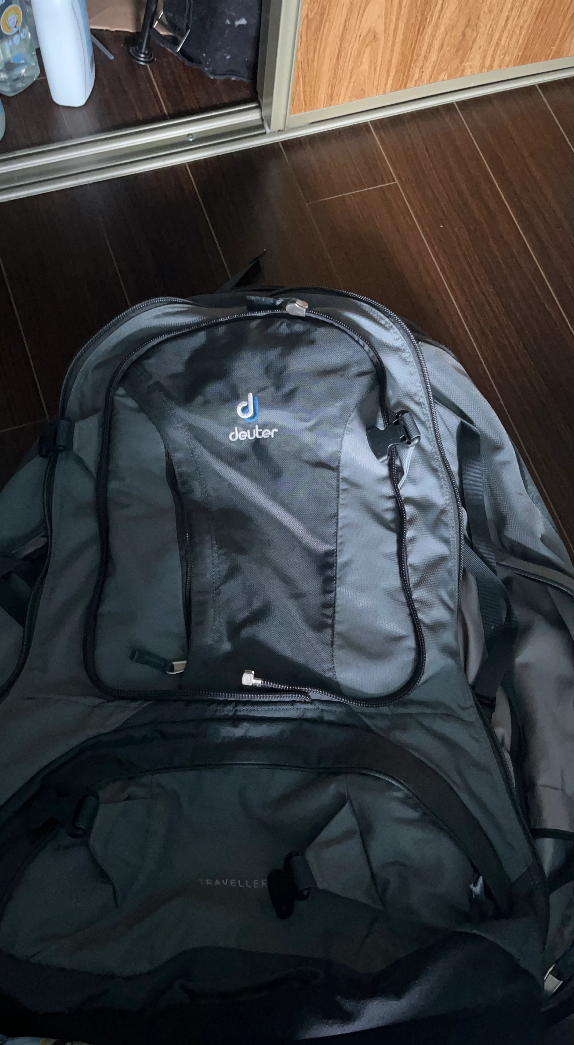 Deuter Traveller Backpack