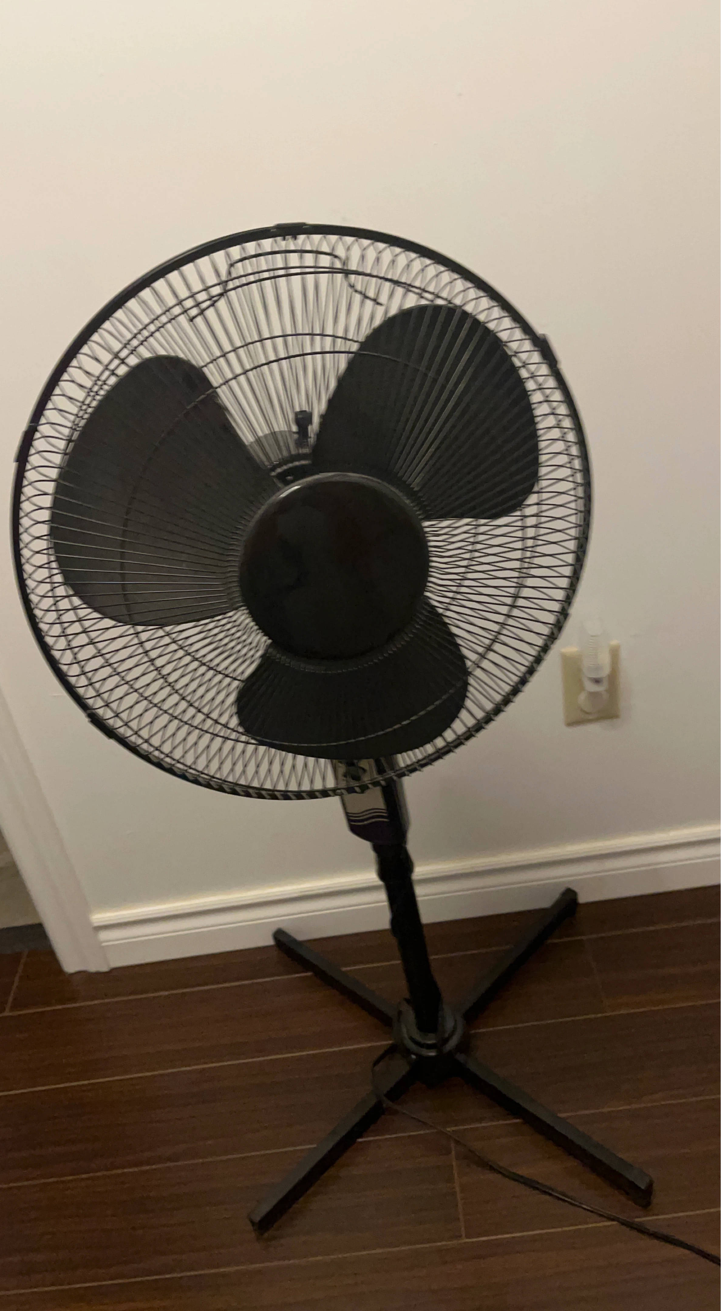 Black Oscillating Pedestal Fan