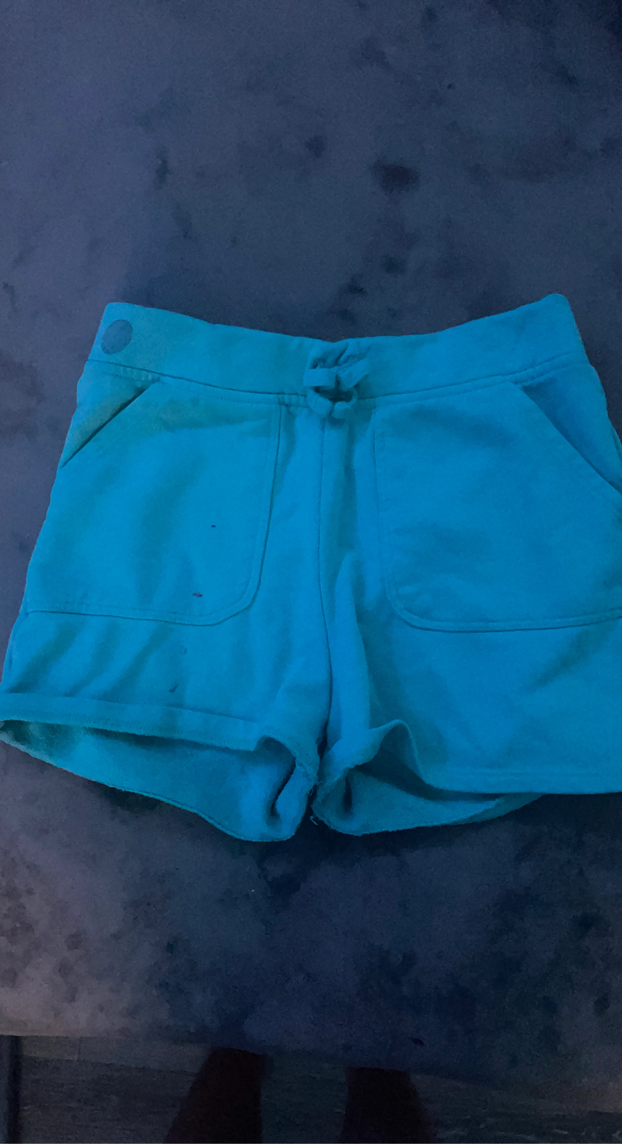 Teal Sweat Shorts