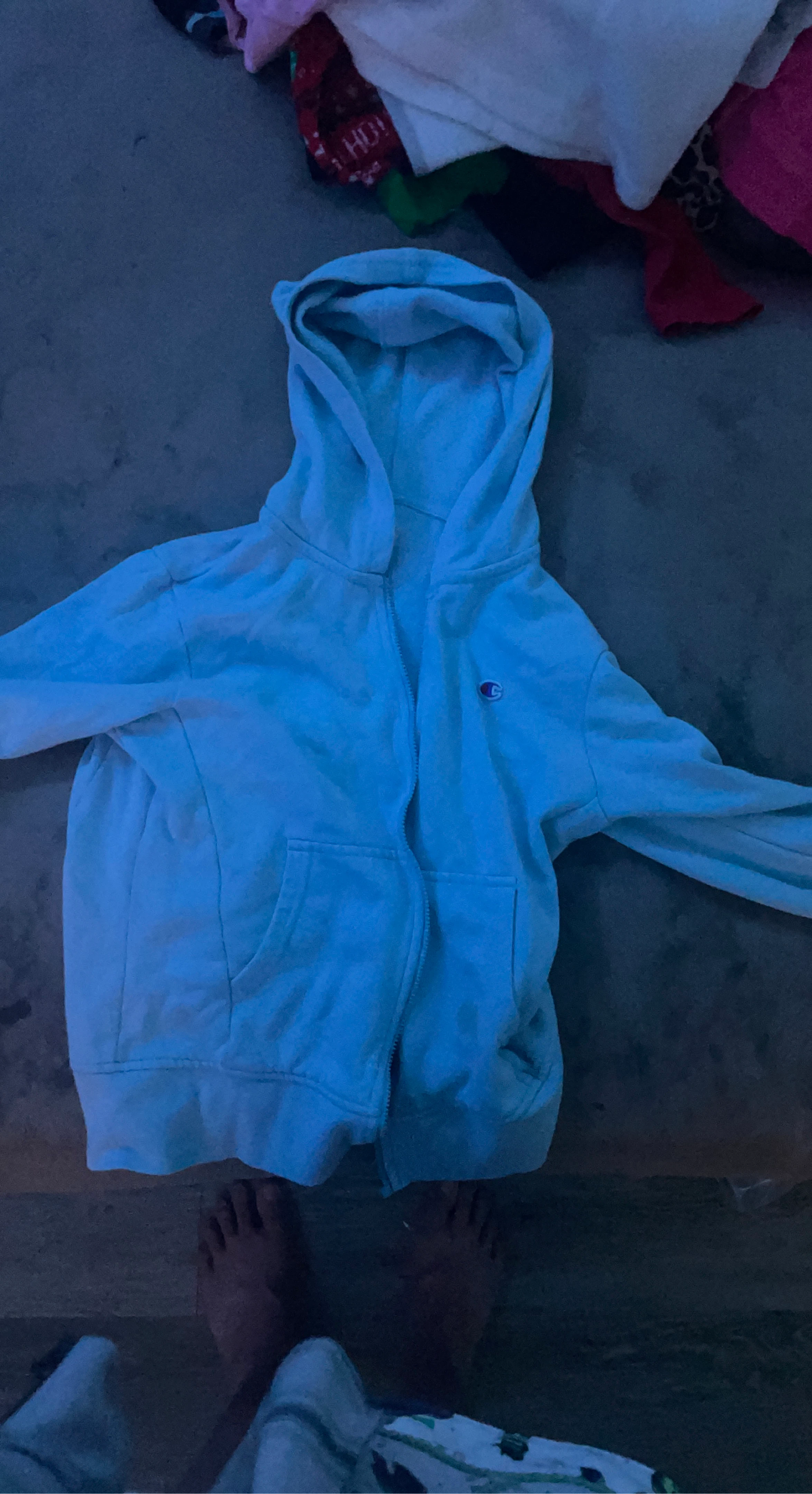Champion Zip-Up Hoodie