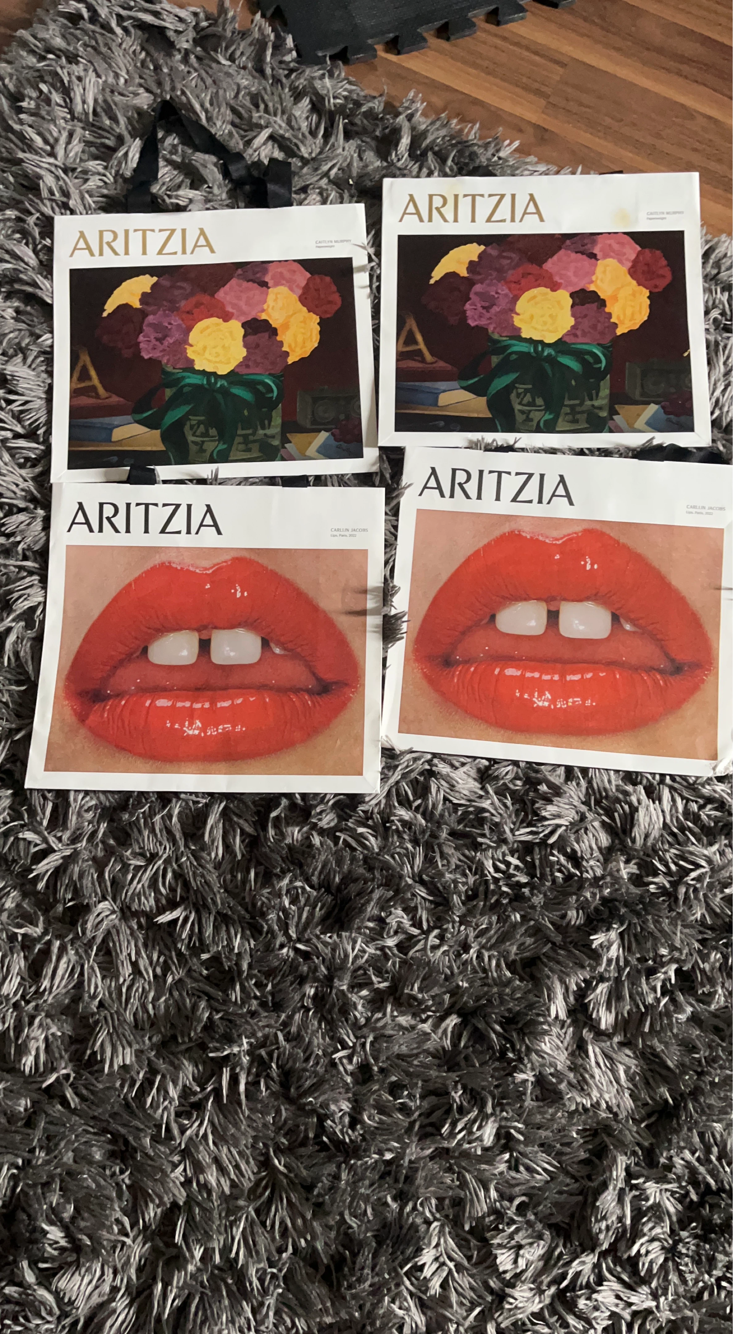 Aritzia Bags